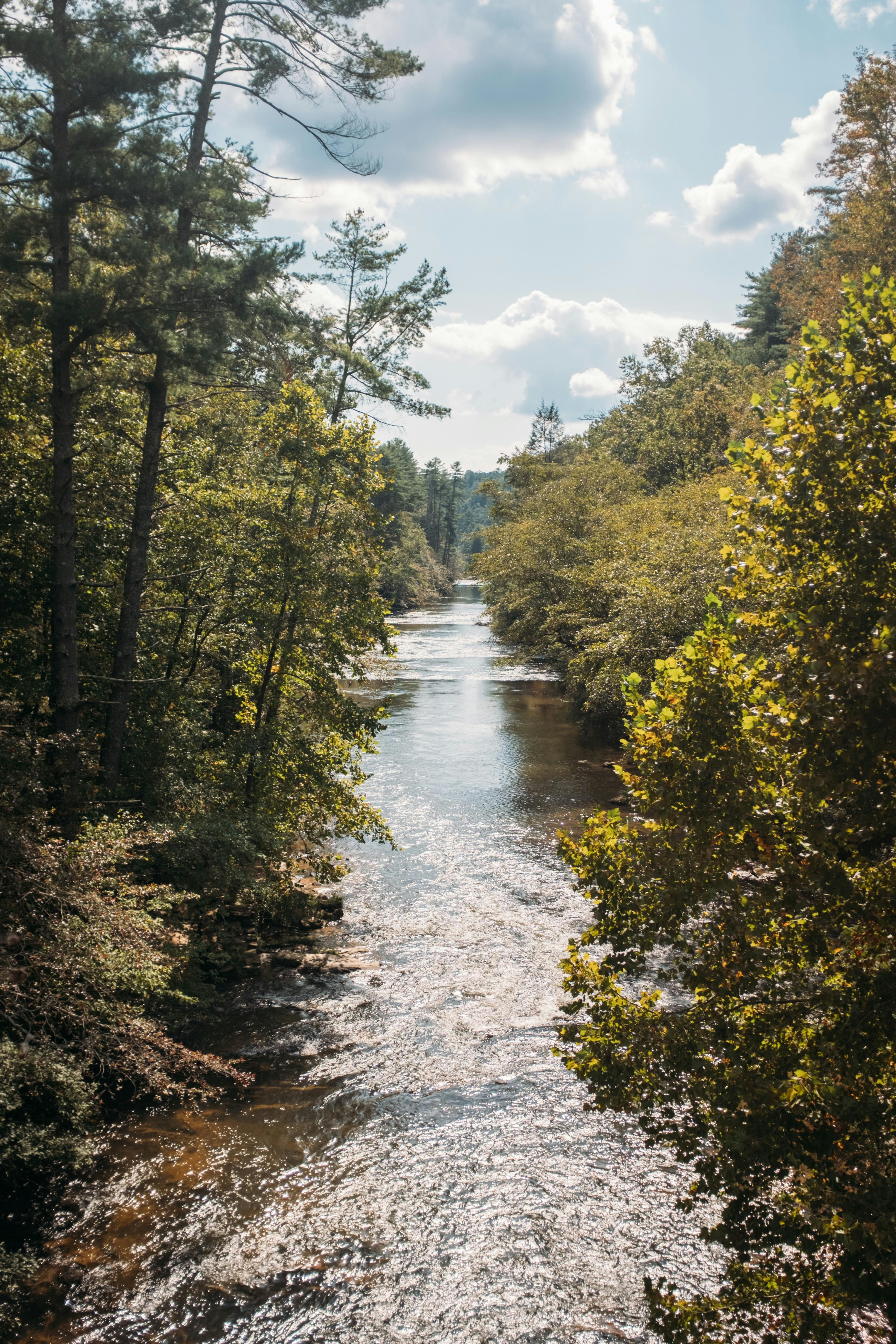 Photo by travisfishl