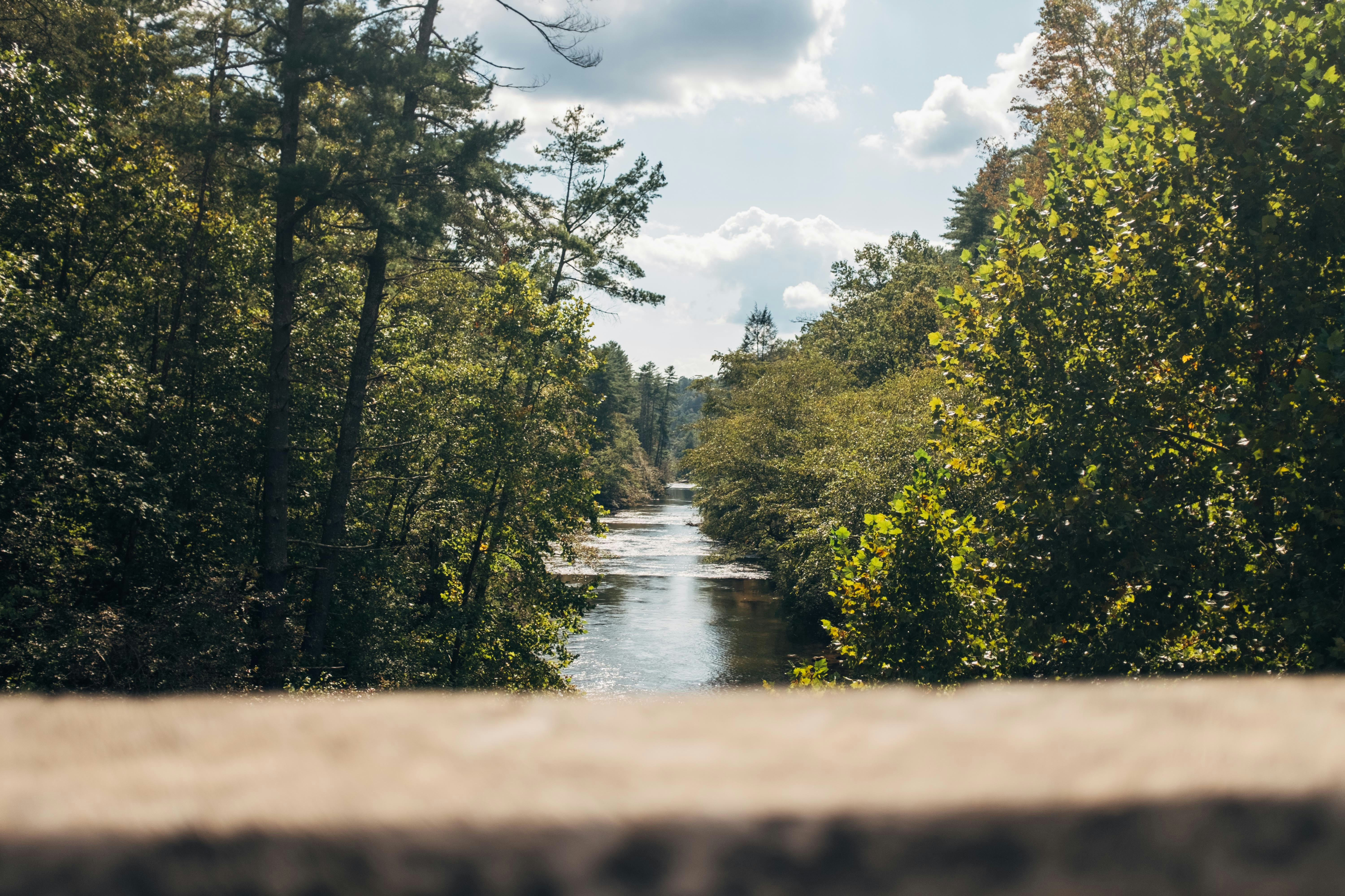 Photo by travisfishl