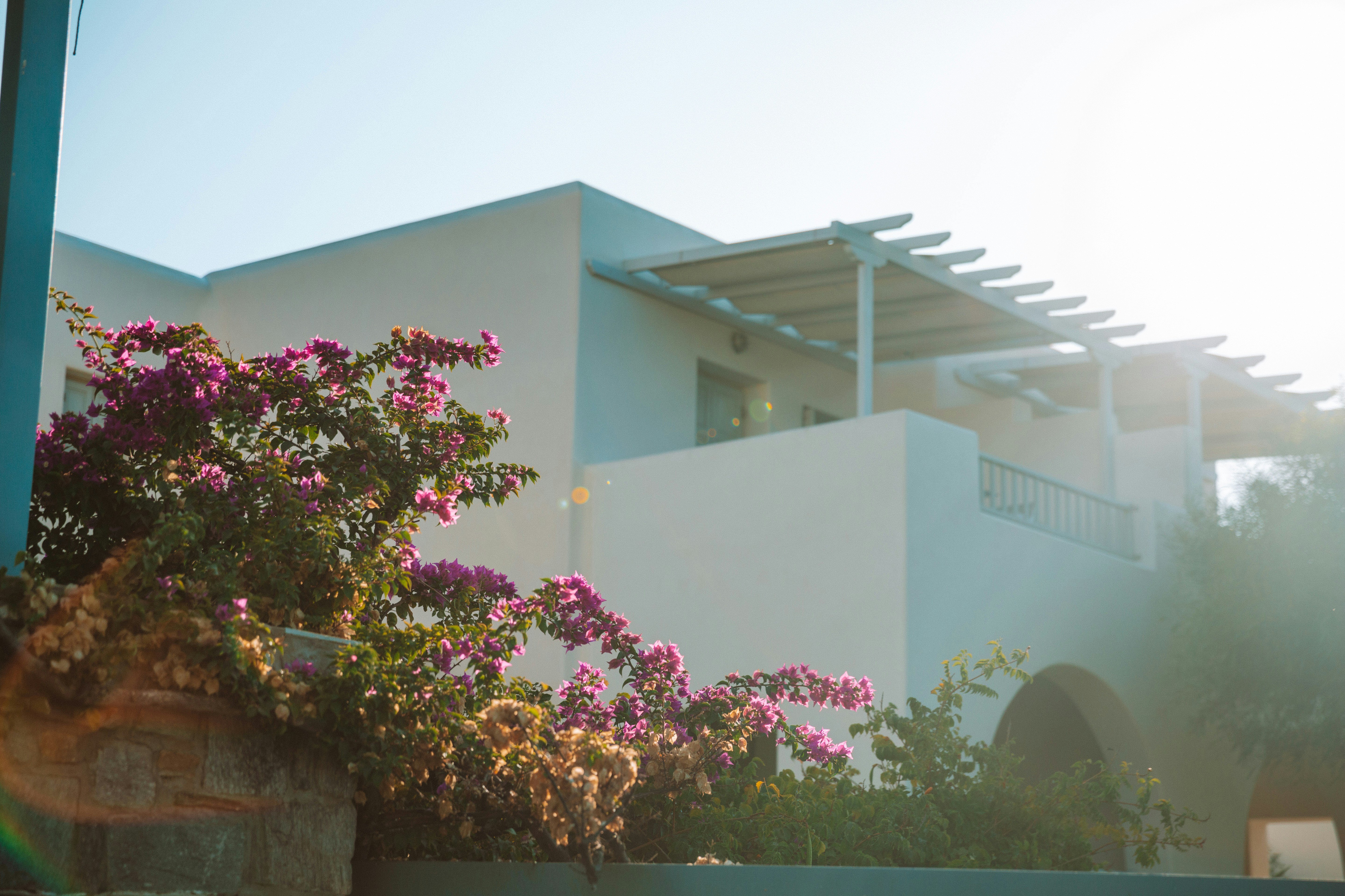 Photo by travisfishl