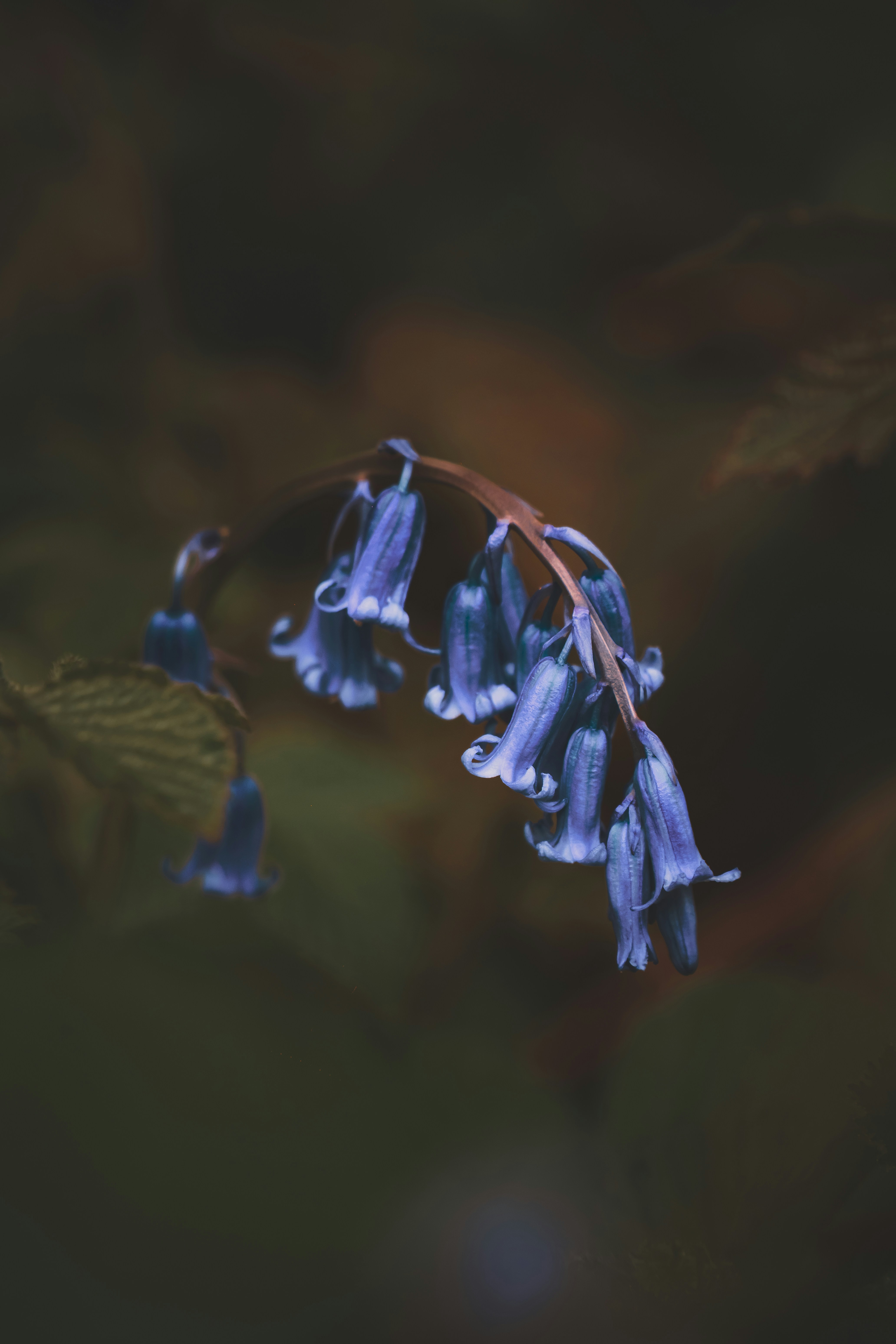 Photo by dkt2210