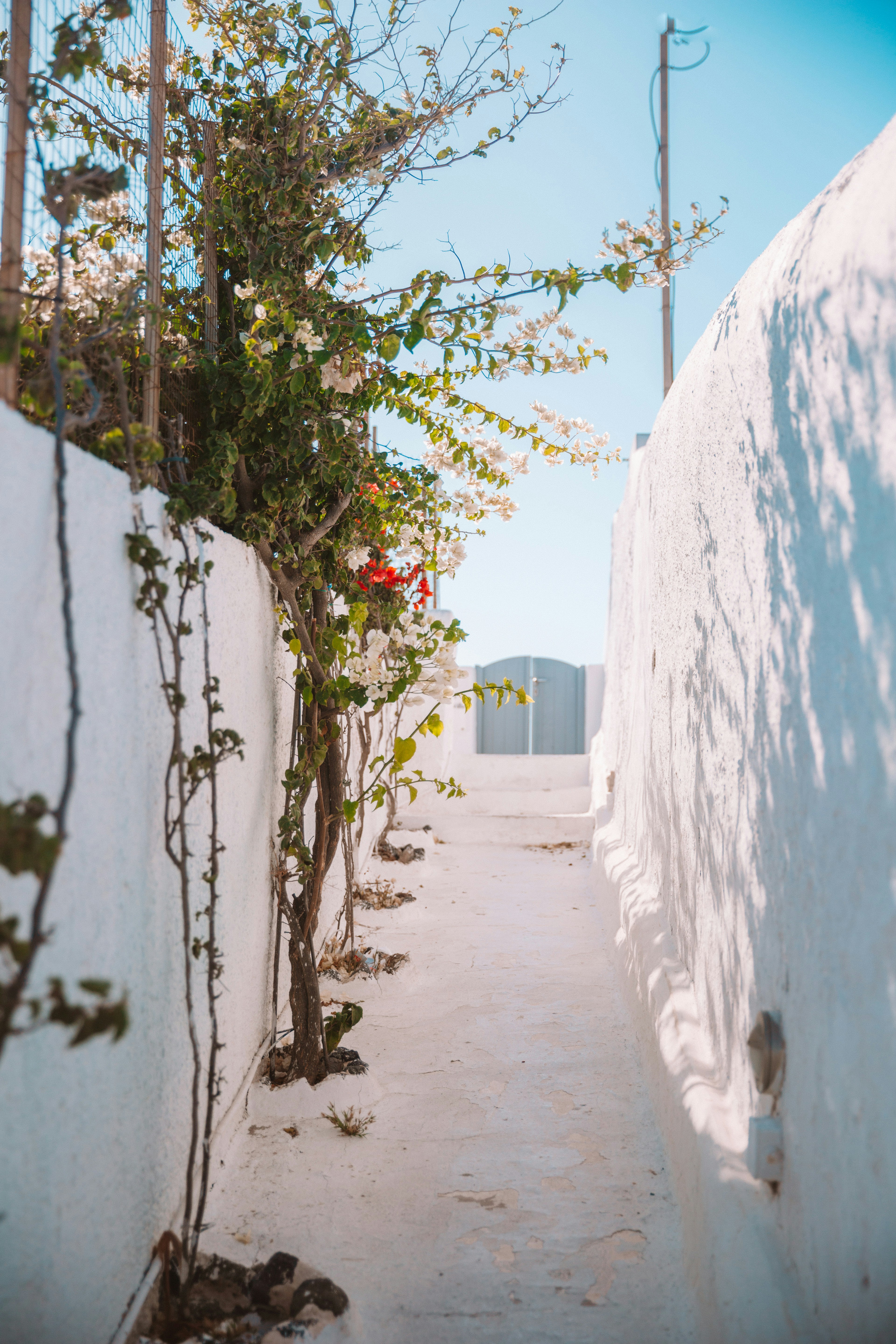 Photo by travisfishl