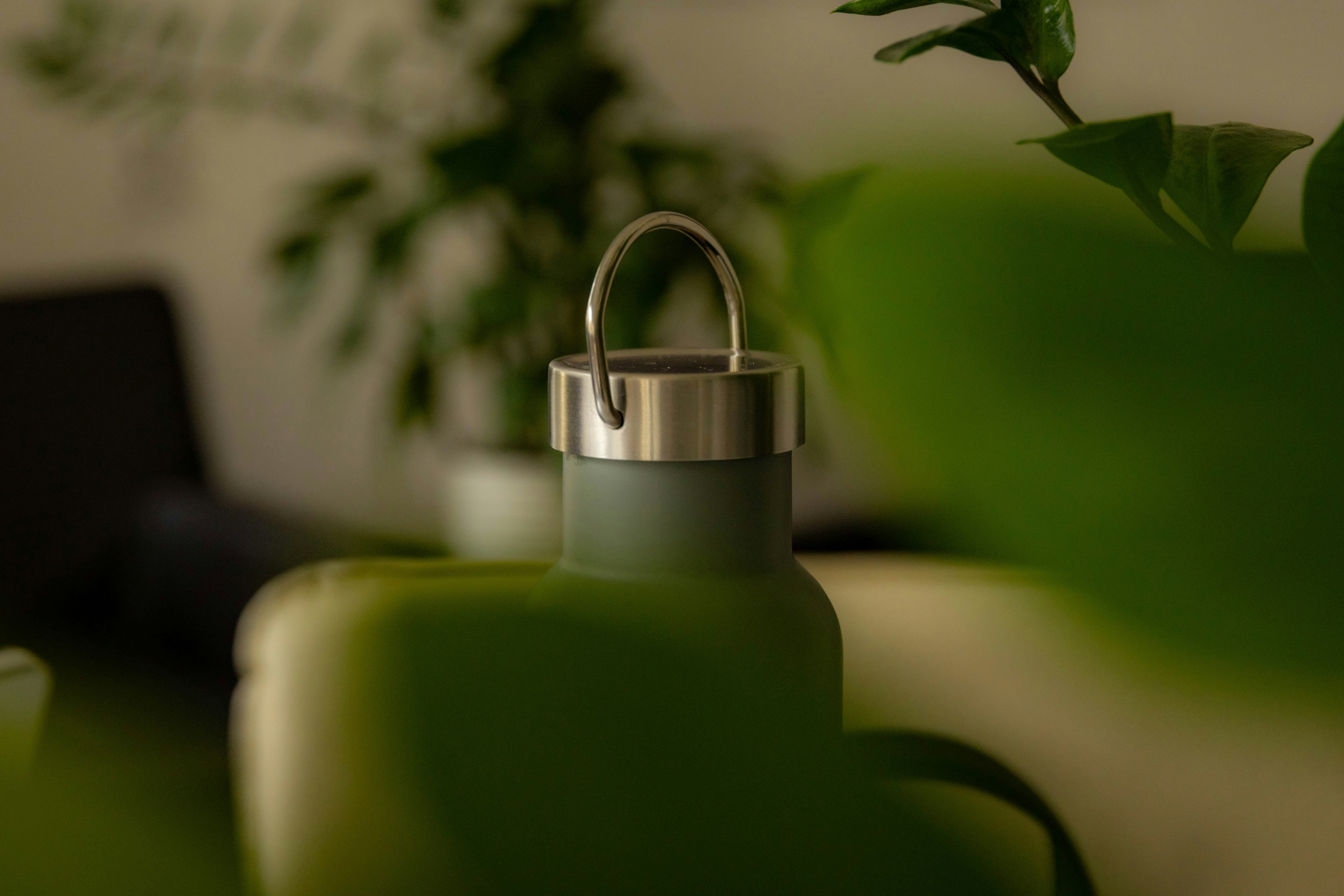 A green bottle sits amidst green foliage.