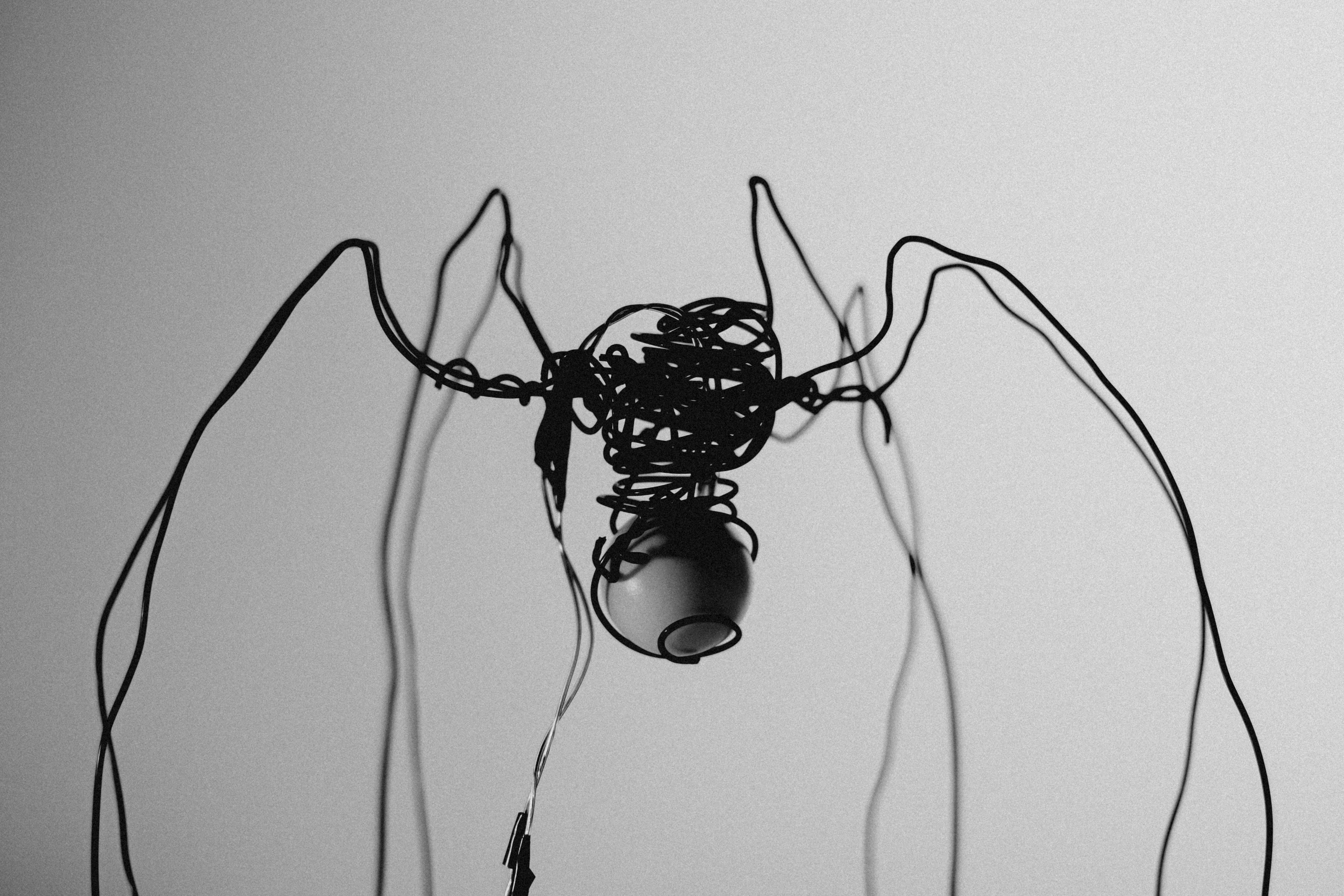 Photo by linusbelanger