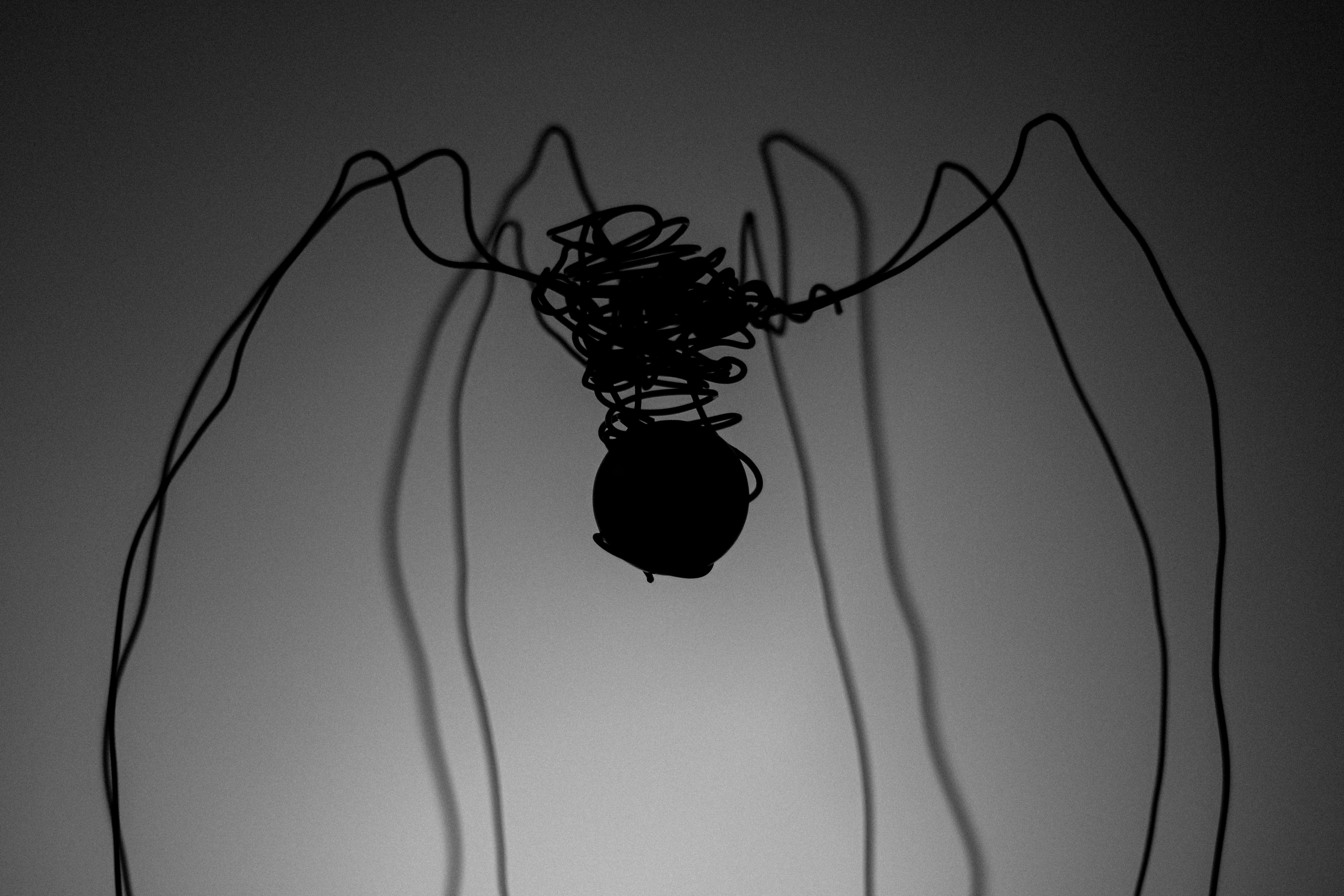 鈴昌陀武格 - 會自殺的格局？