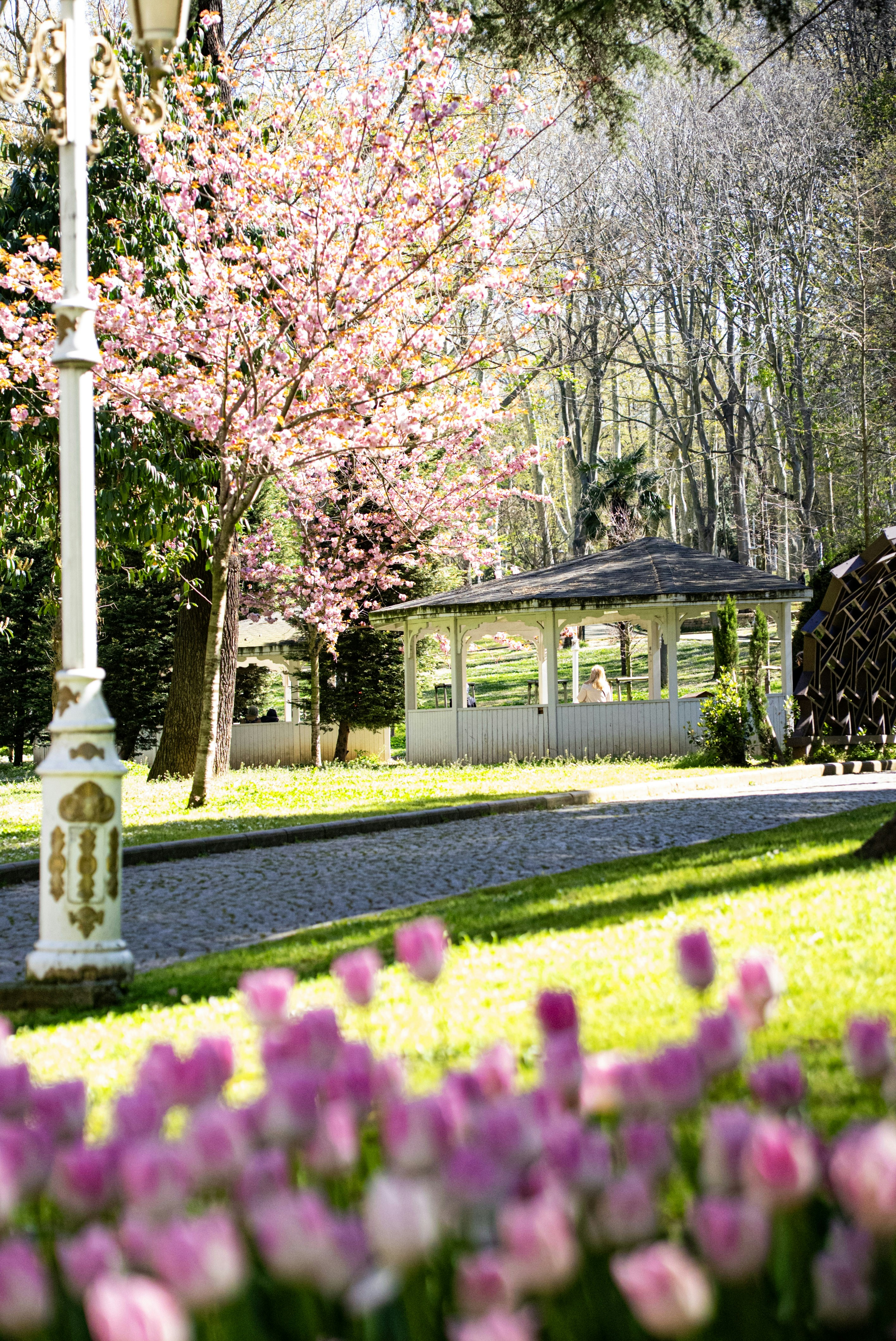 Photo by mihaela_claudia_p