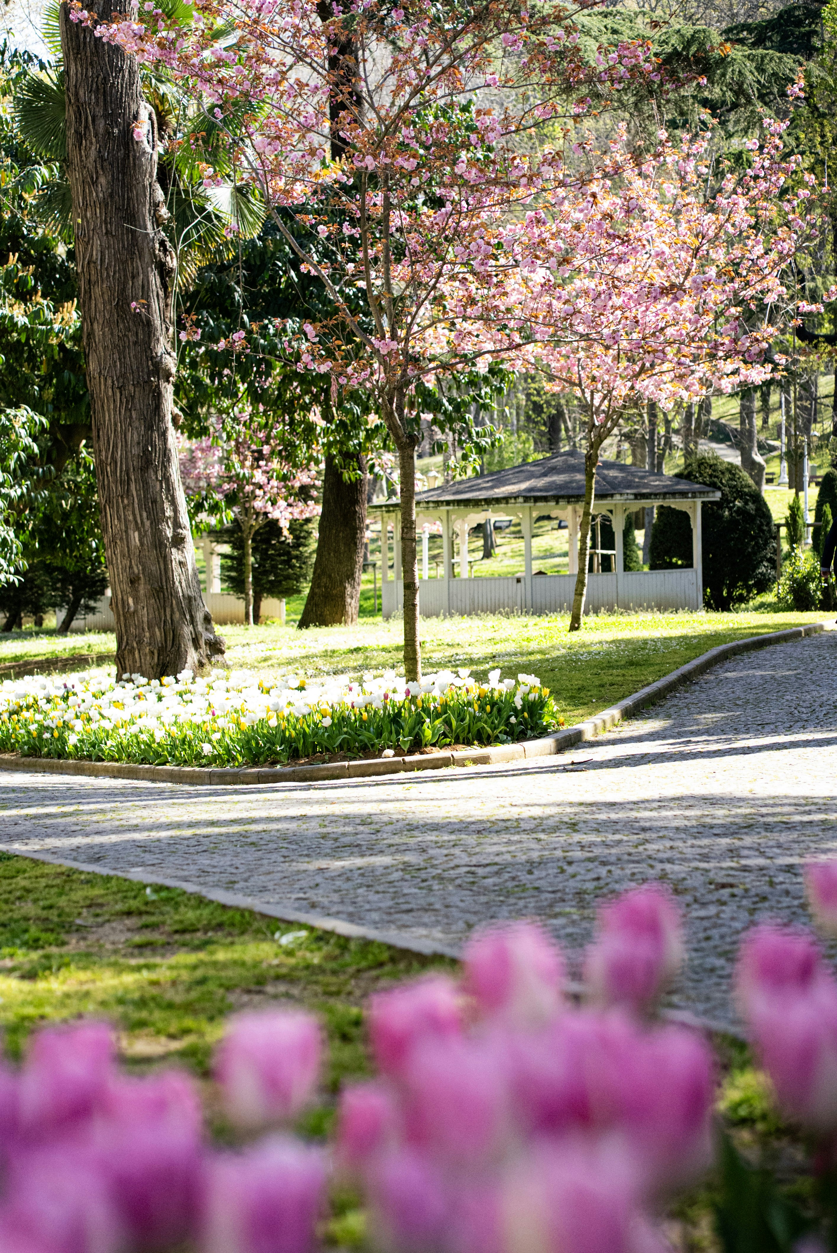 Photo by mihaela_claudia_p