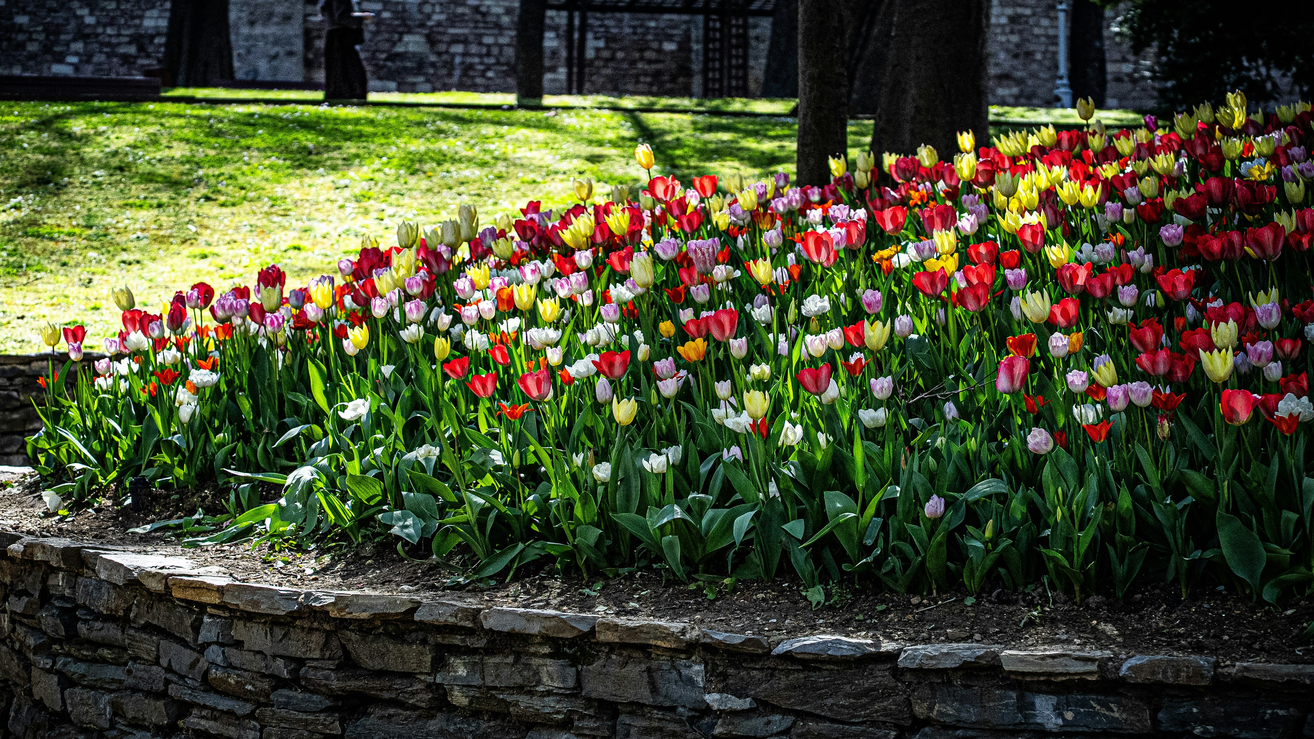 Photo by mihaela_claudia_p