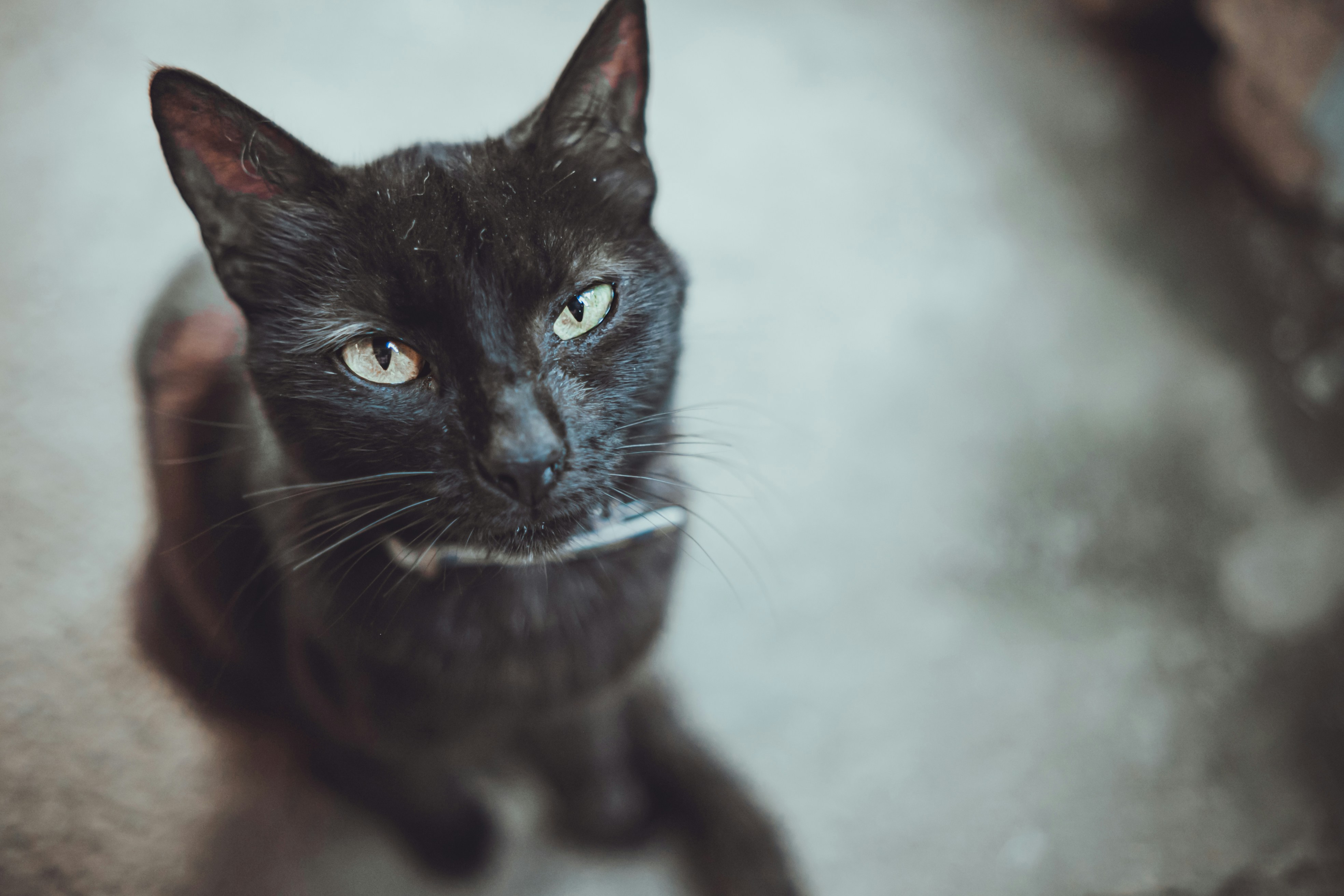 Photo by cinematic_life_nic