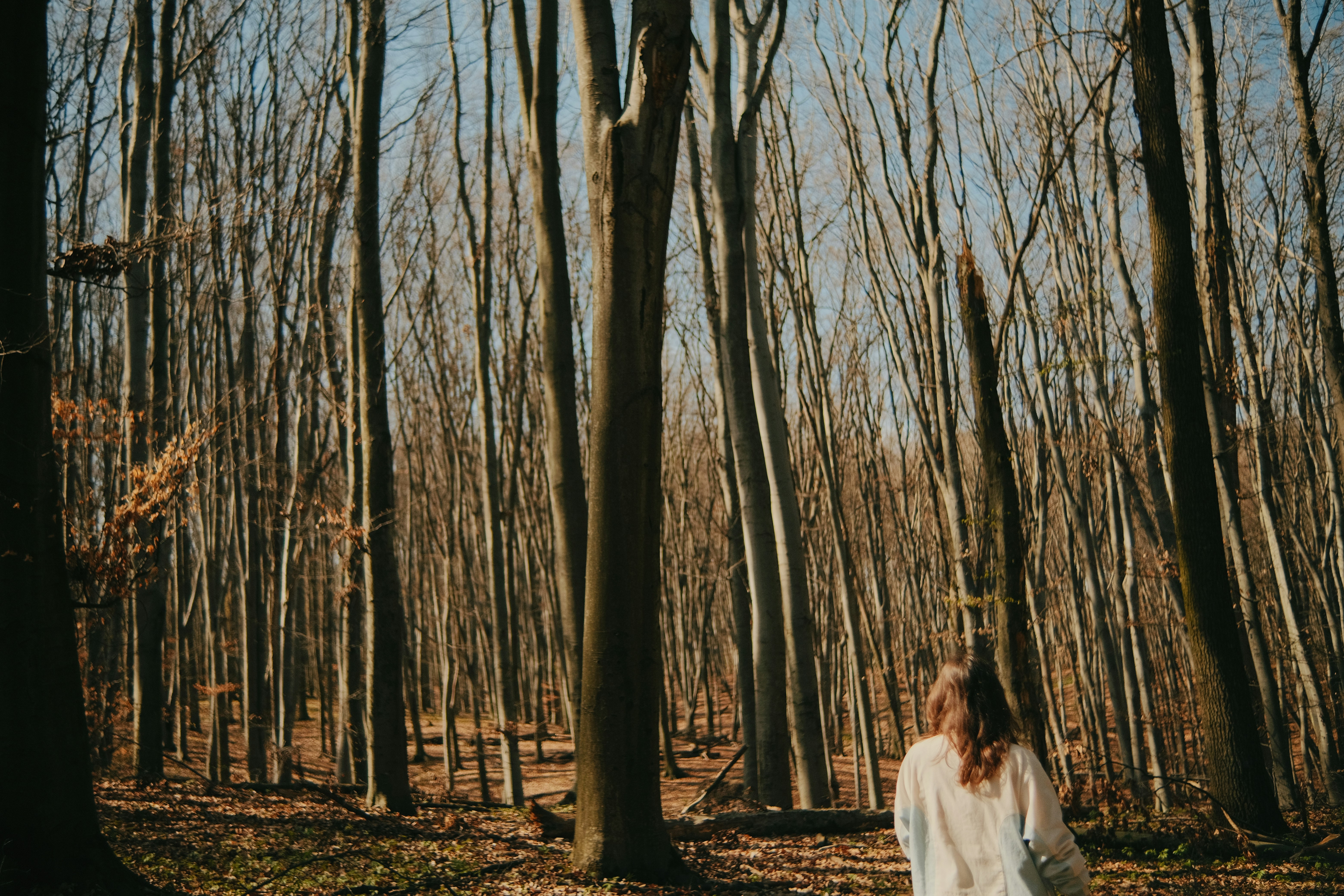 Photo by tobolenkoph