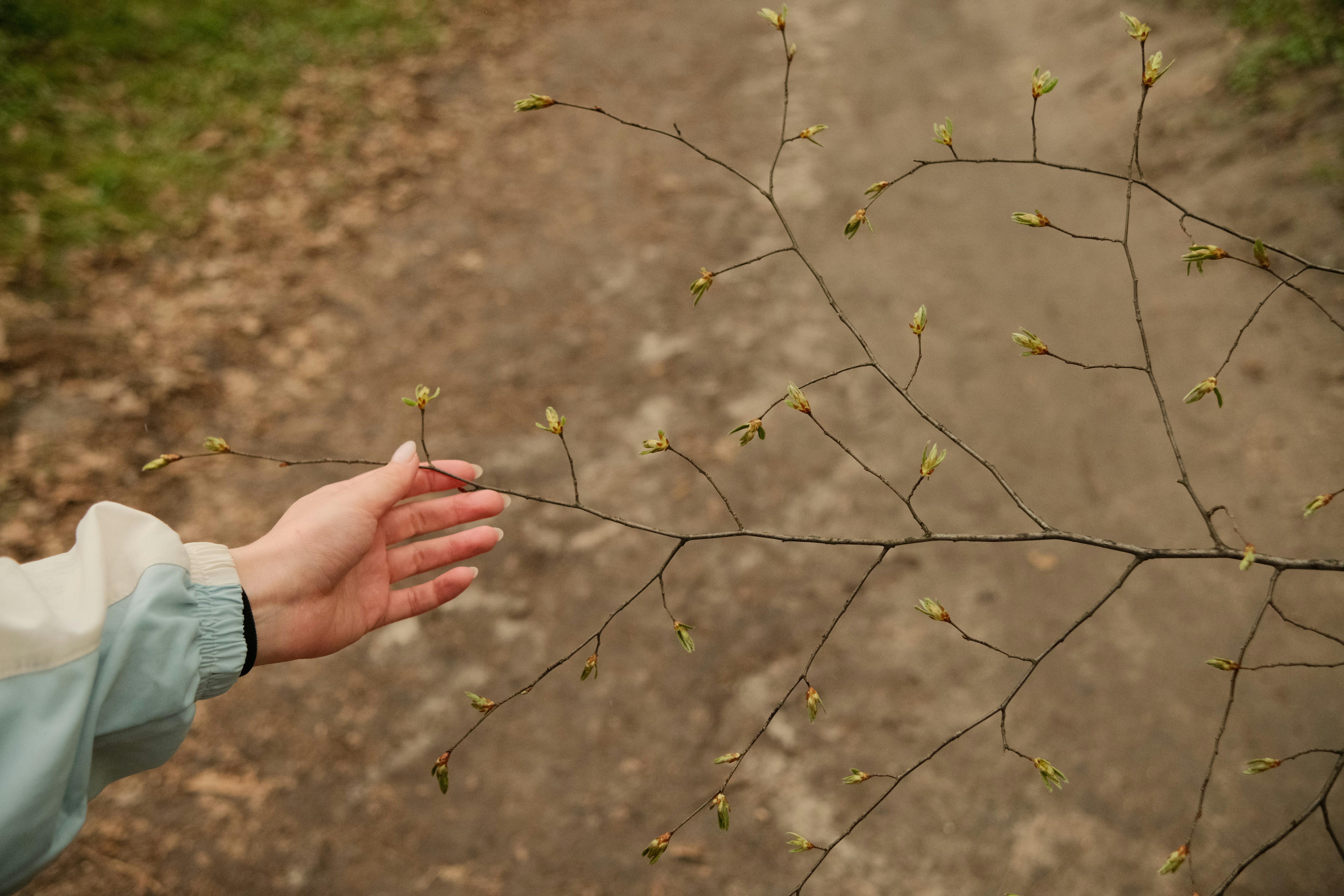 t you can gain, shift your perspective to what you can give - strategies to cultivate meaningful connections