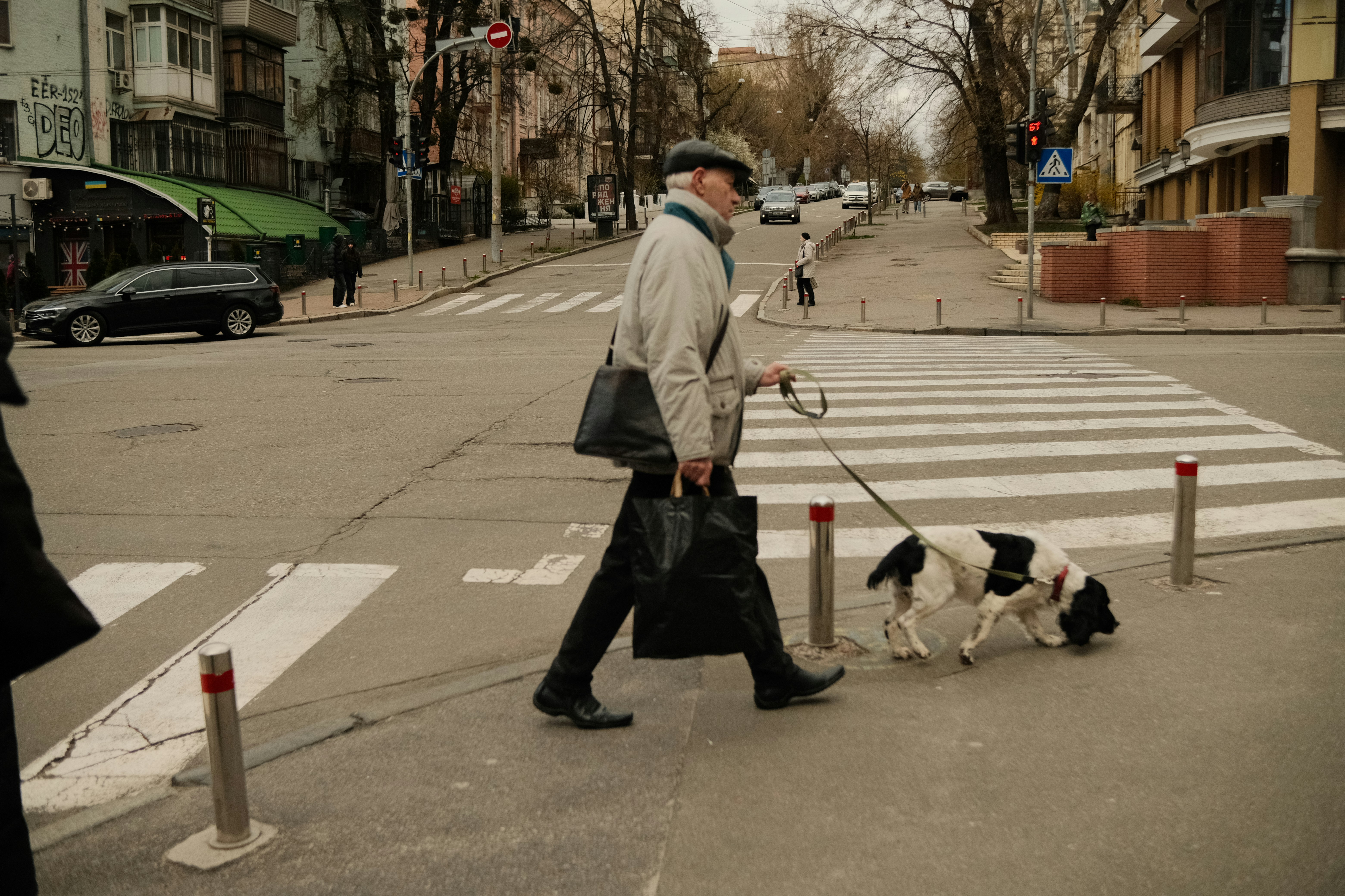 Man walks a dog across a city crosswalk.