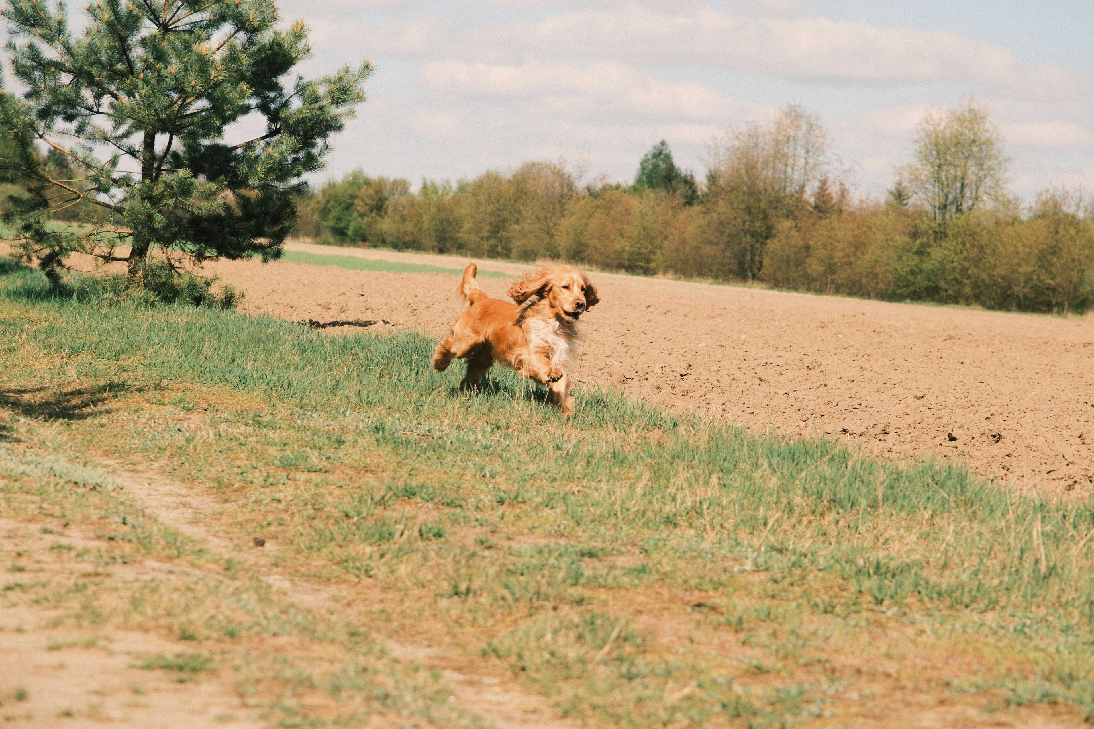 How Physical Activity Affects Behavior and Pain