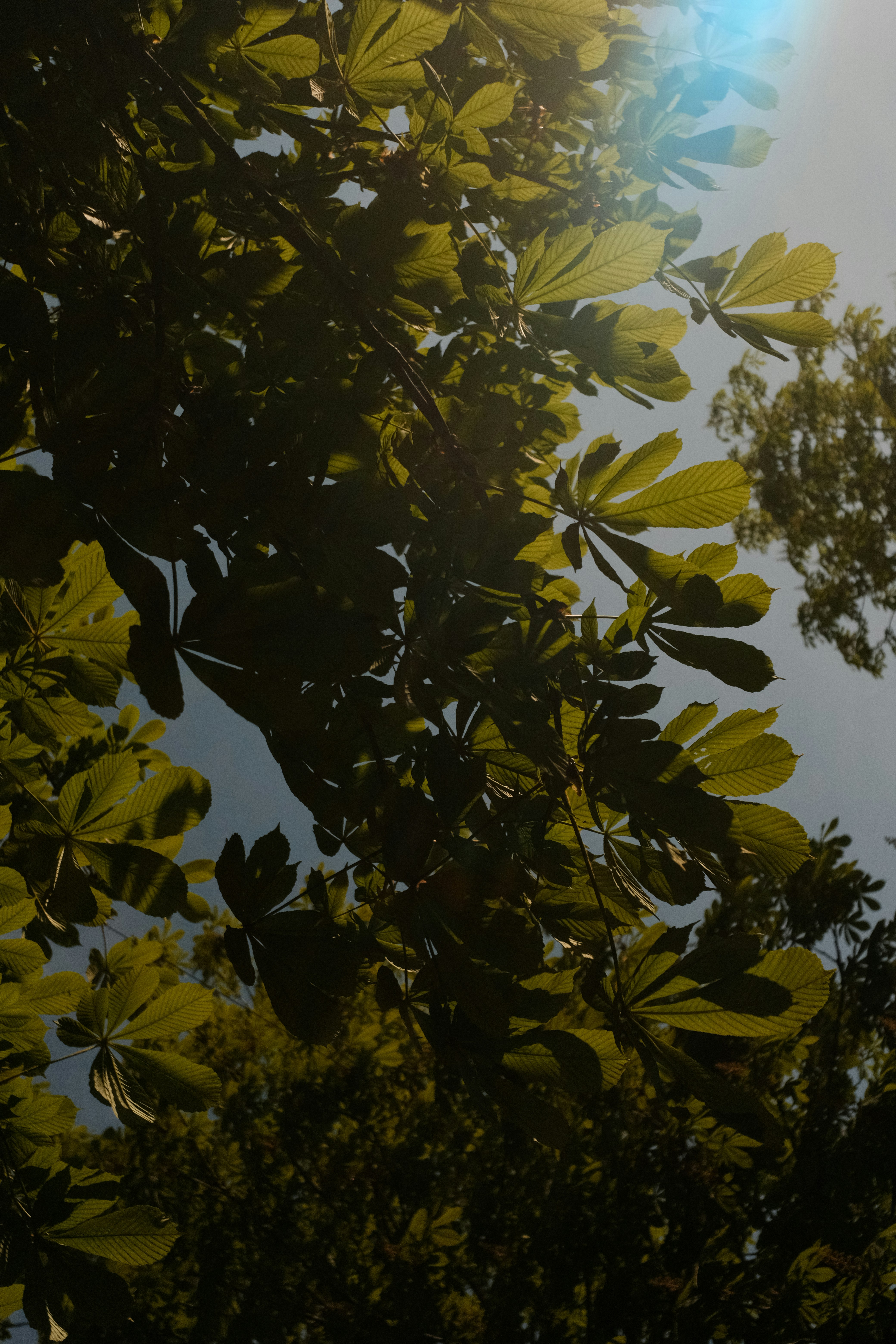 Photo by tobolenkoph