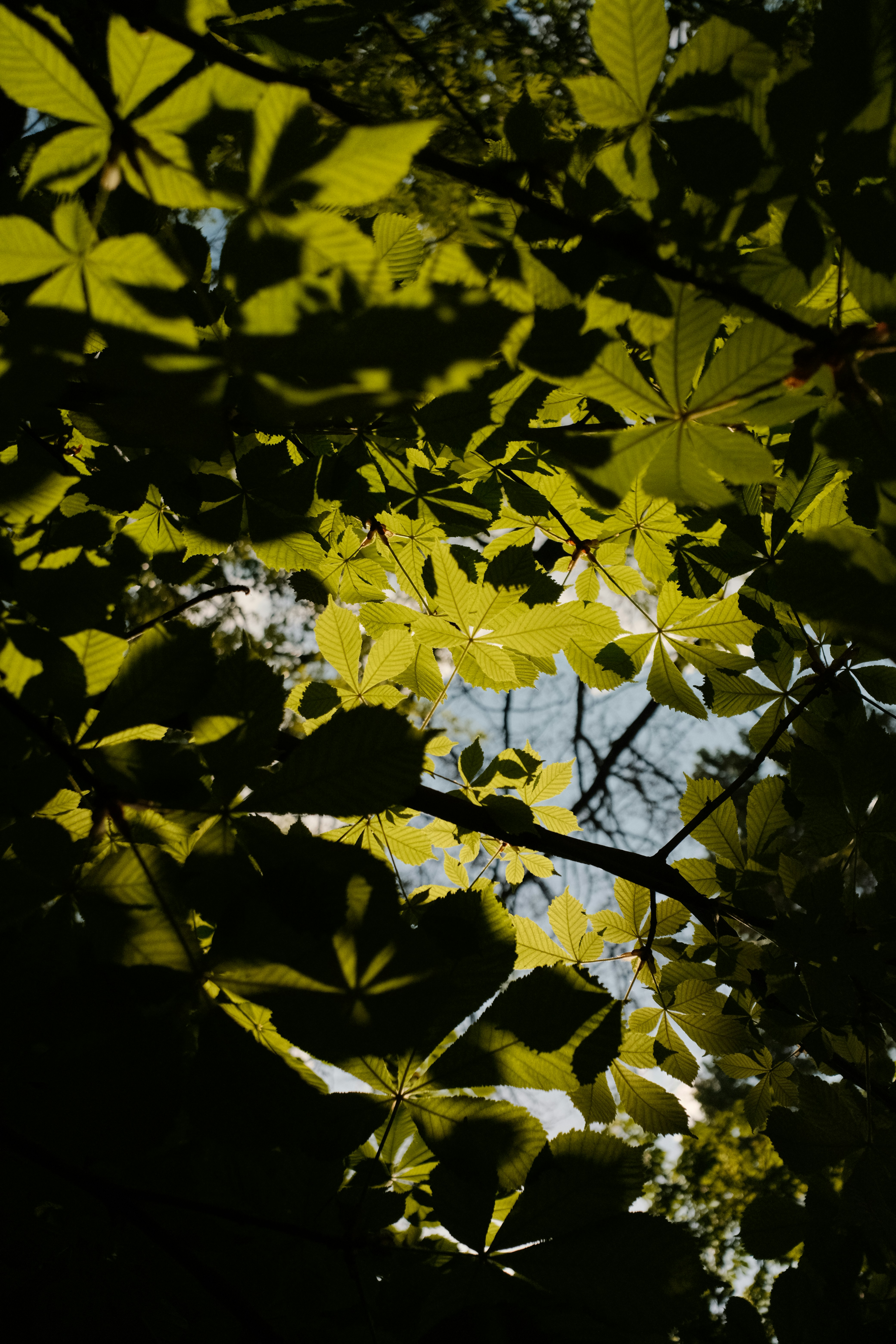 Photo by tobolenkoph