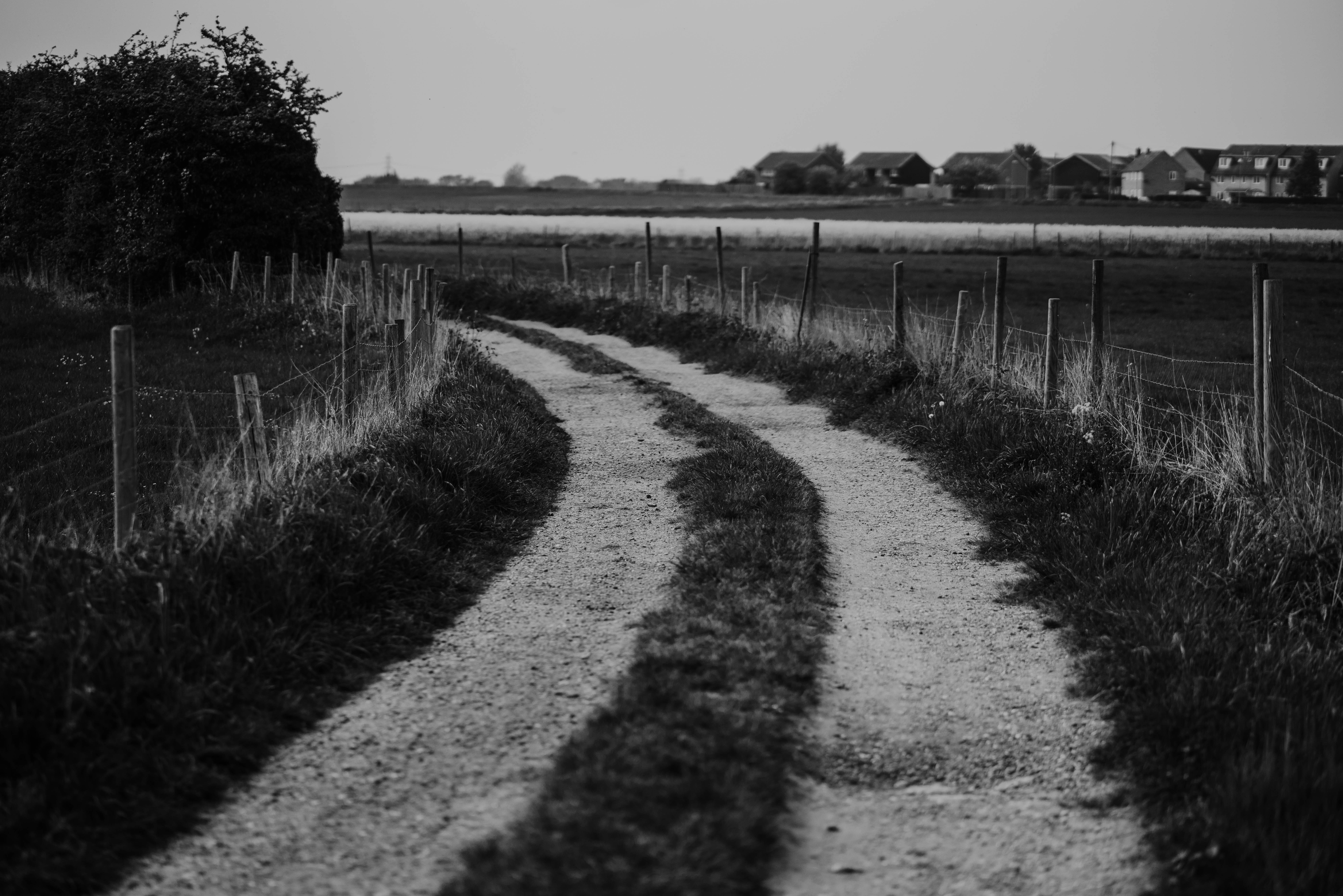 A winding dirt road leads into the distance.