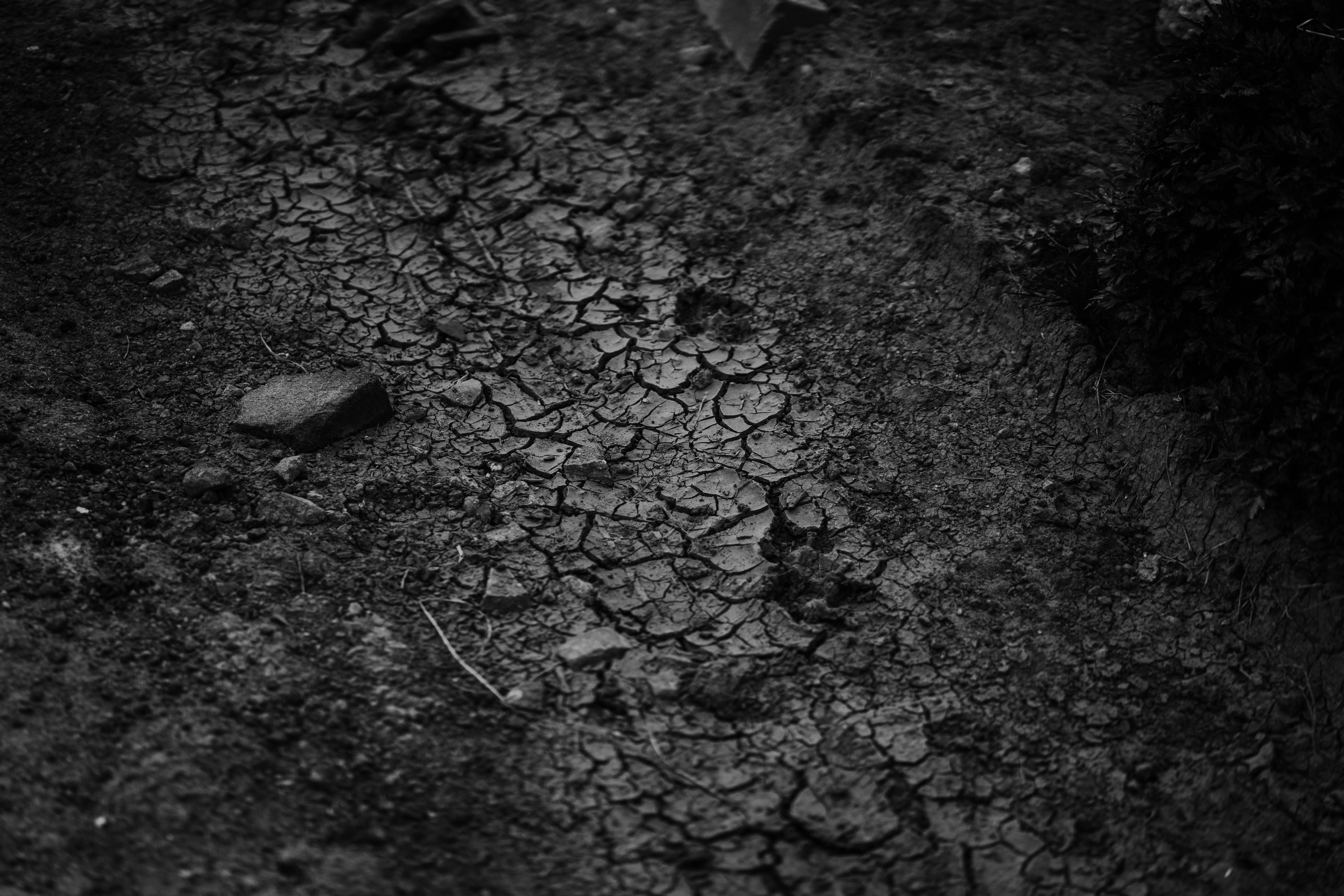 Photo by philhearing