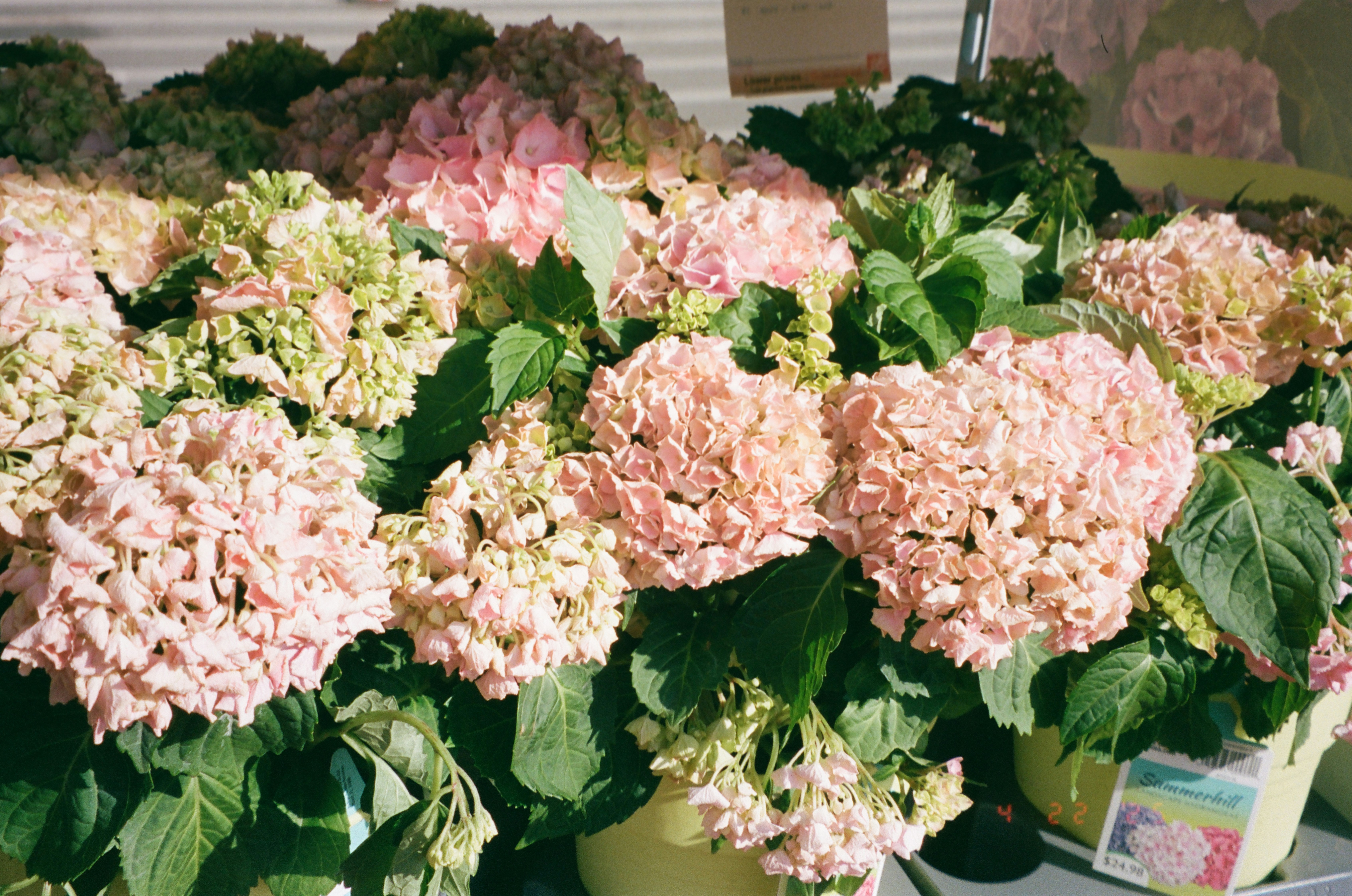 Photo by brookebalentine