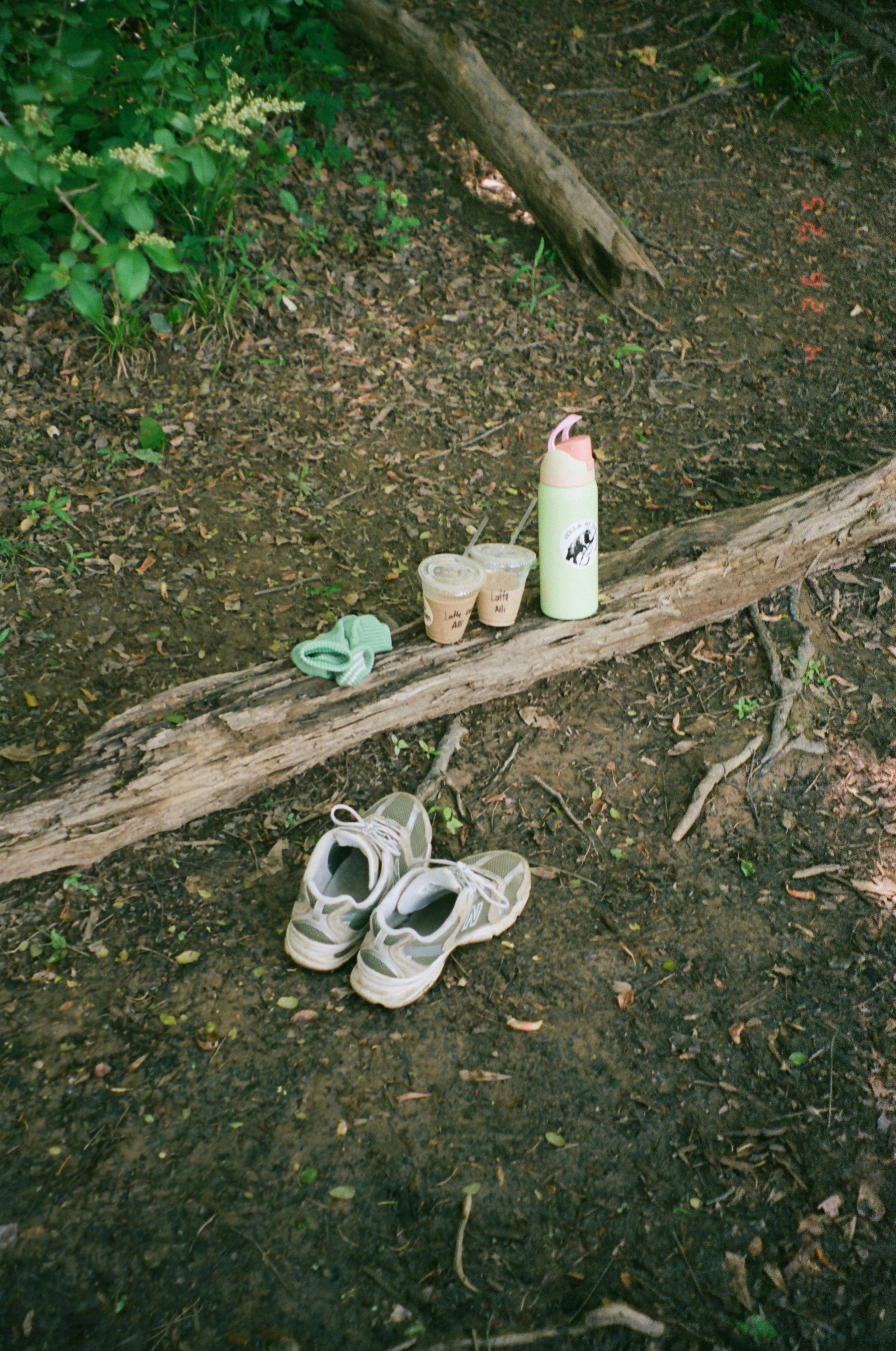 14 Eco Friendly Materials Found in Girls Casual Sandals