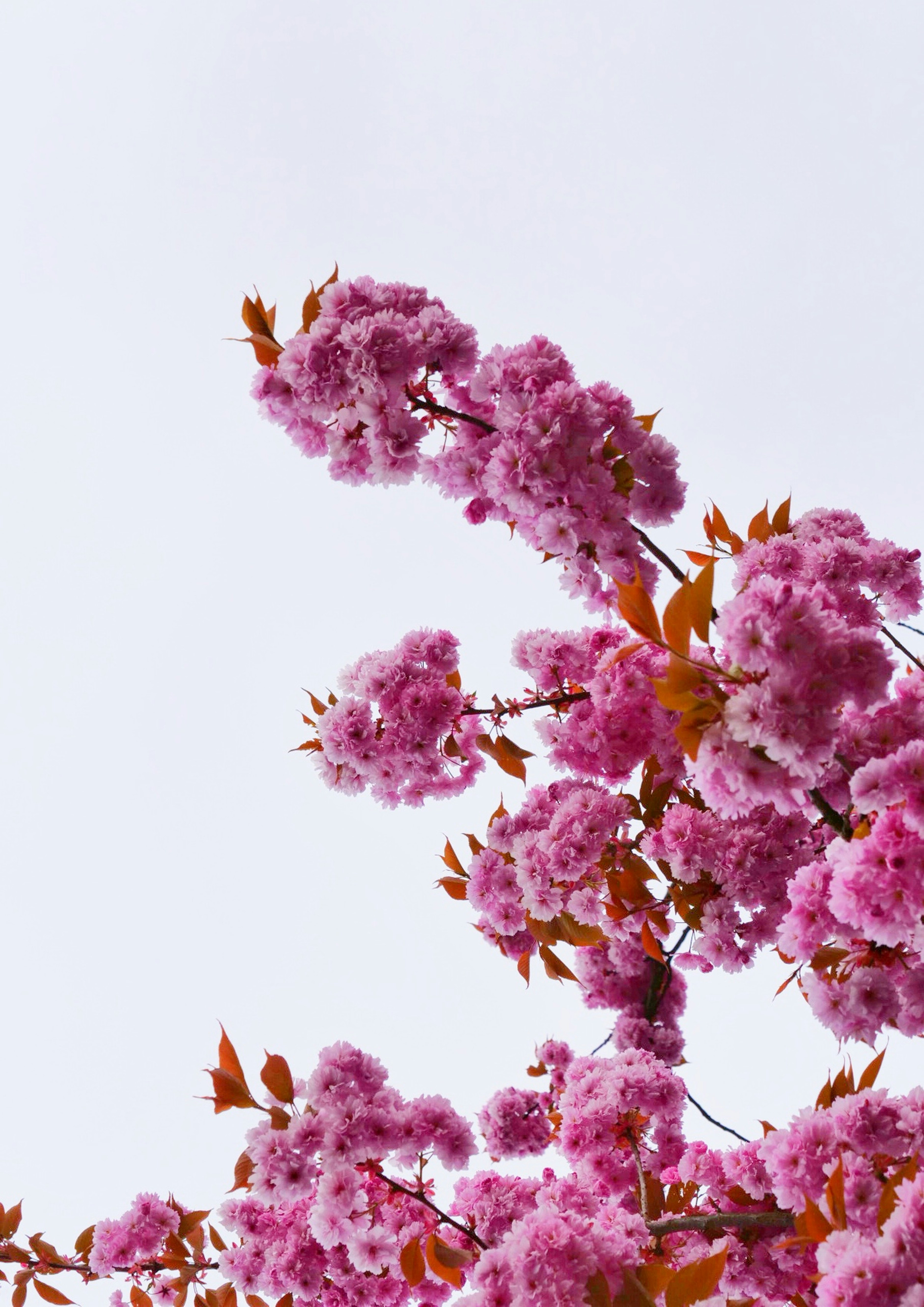 Photo by loveleencherub