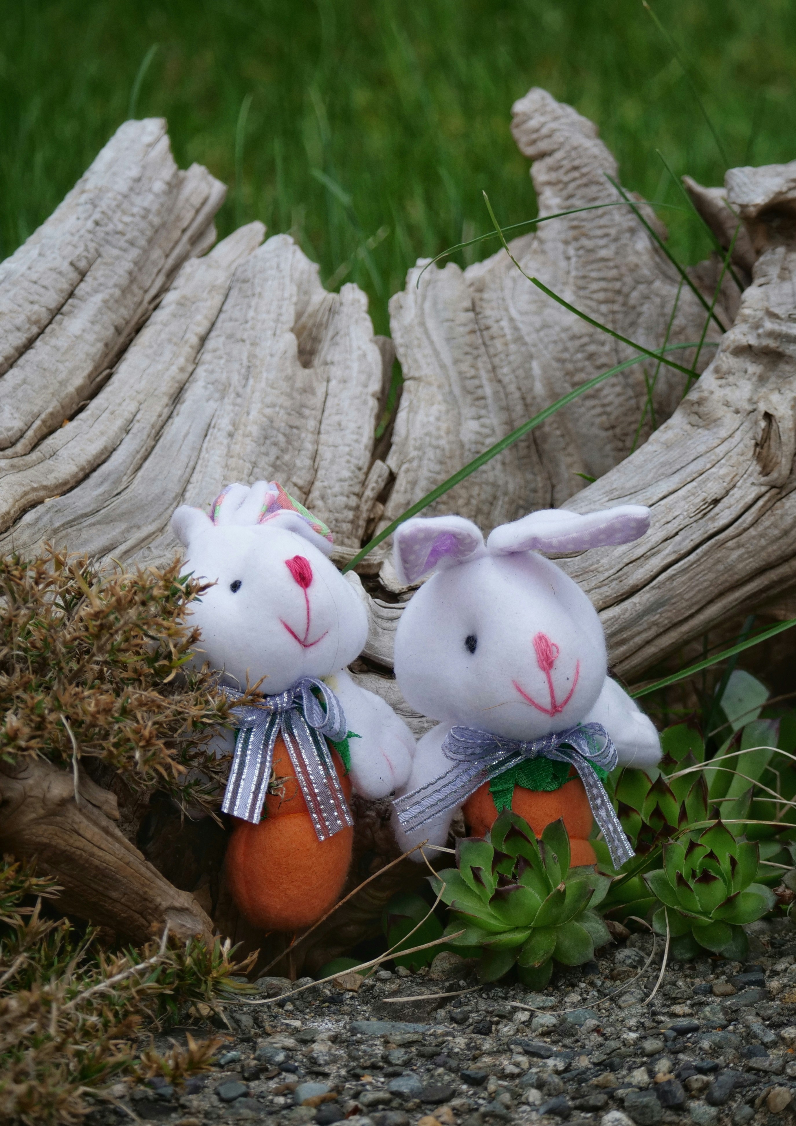 Photo by loveleencherub