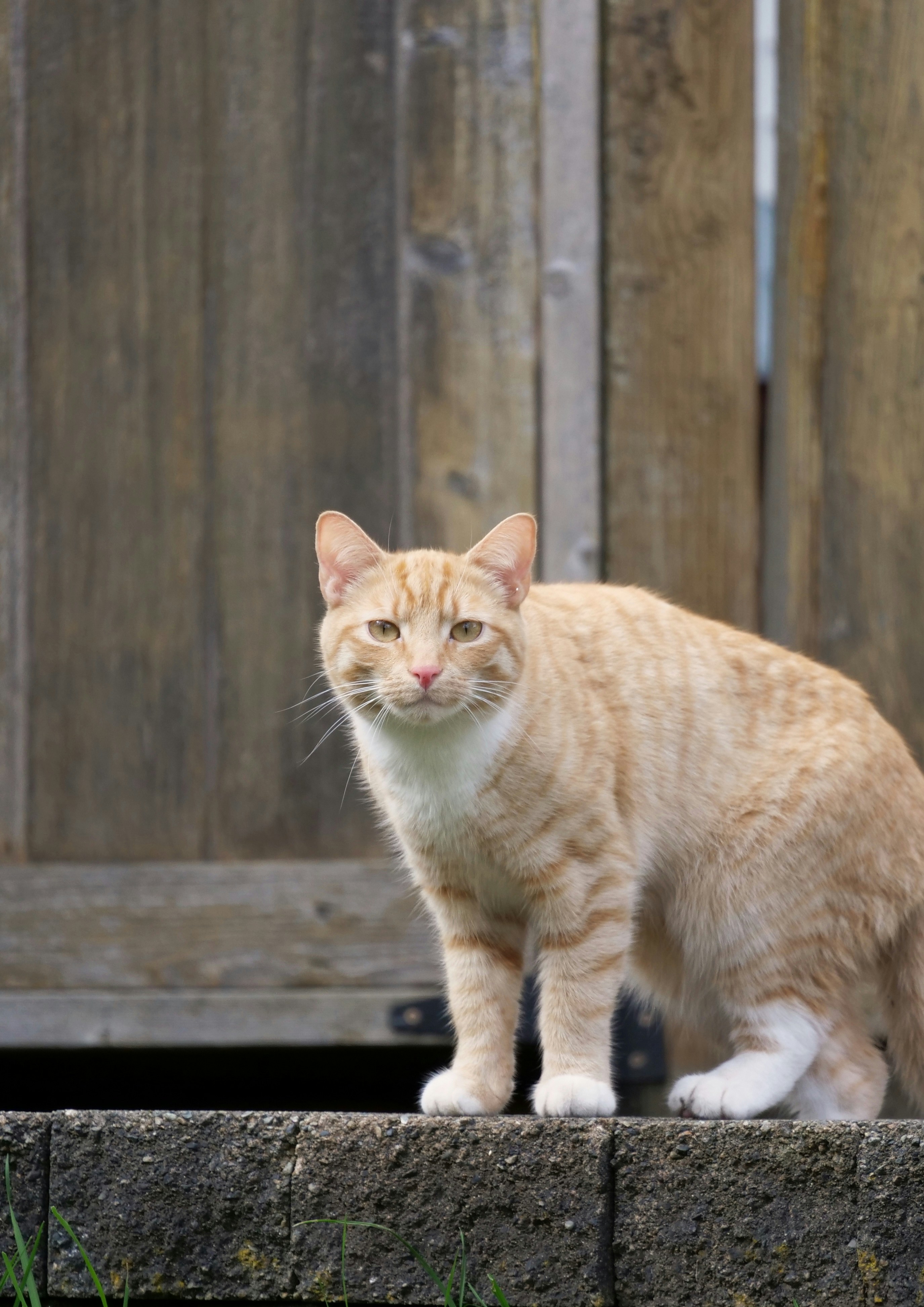 Photo by loveleencherub