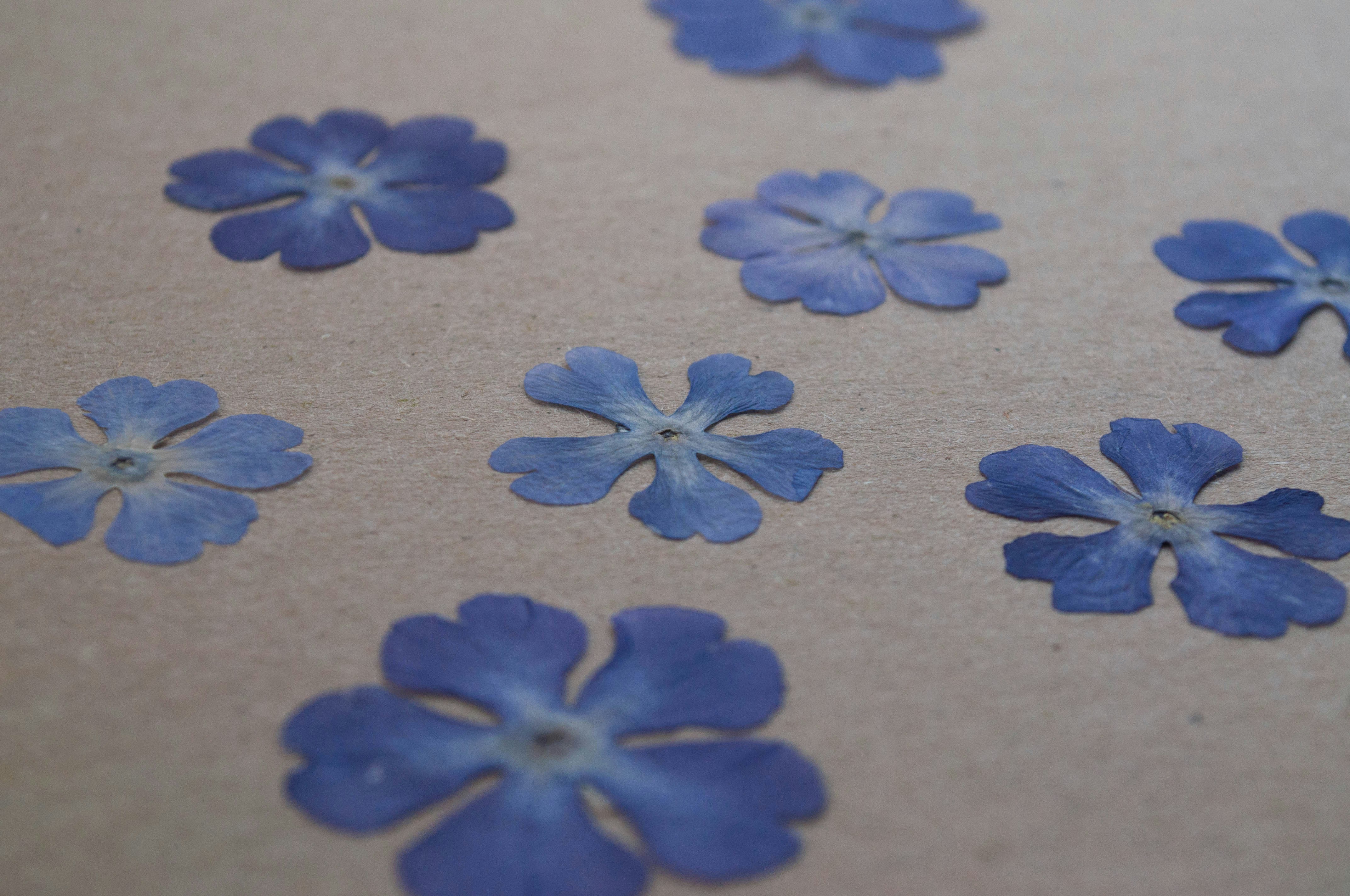 Must-Try DIY Craft Ideas for Teens: Personalized Gifts