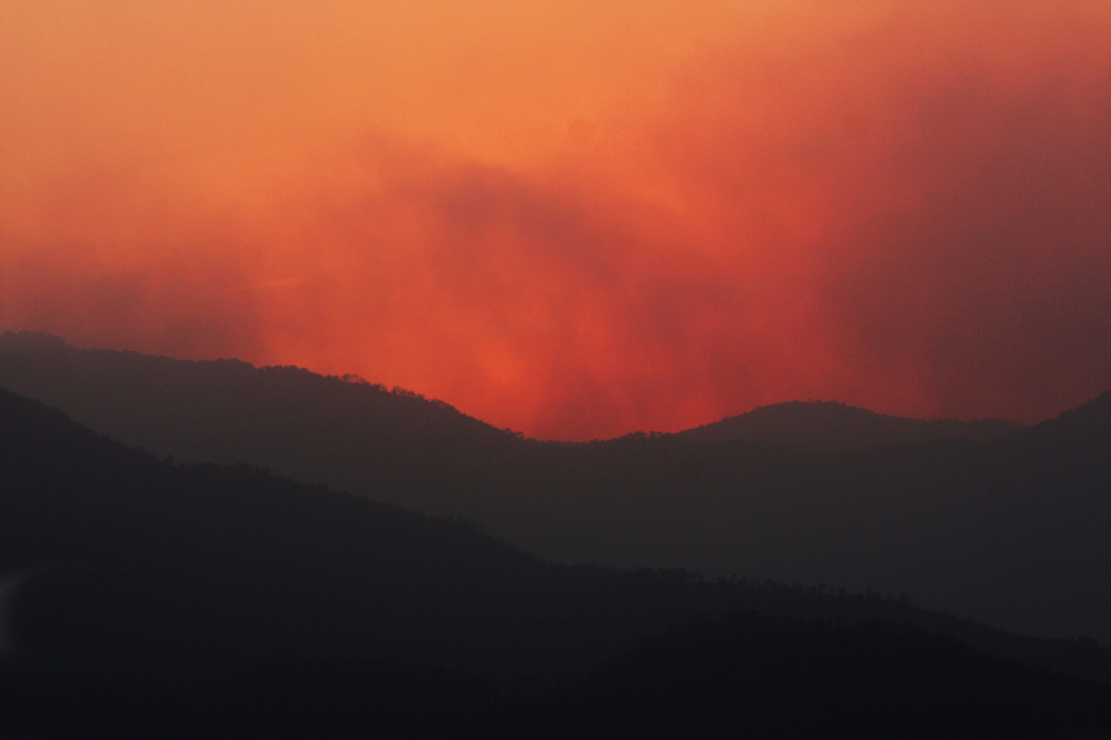 Photo by suyashbatra