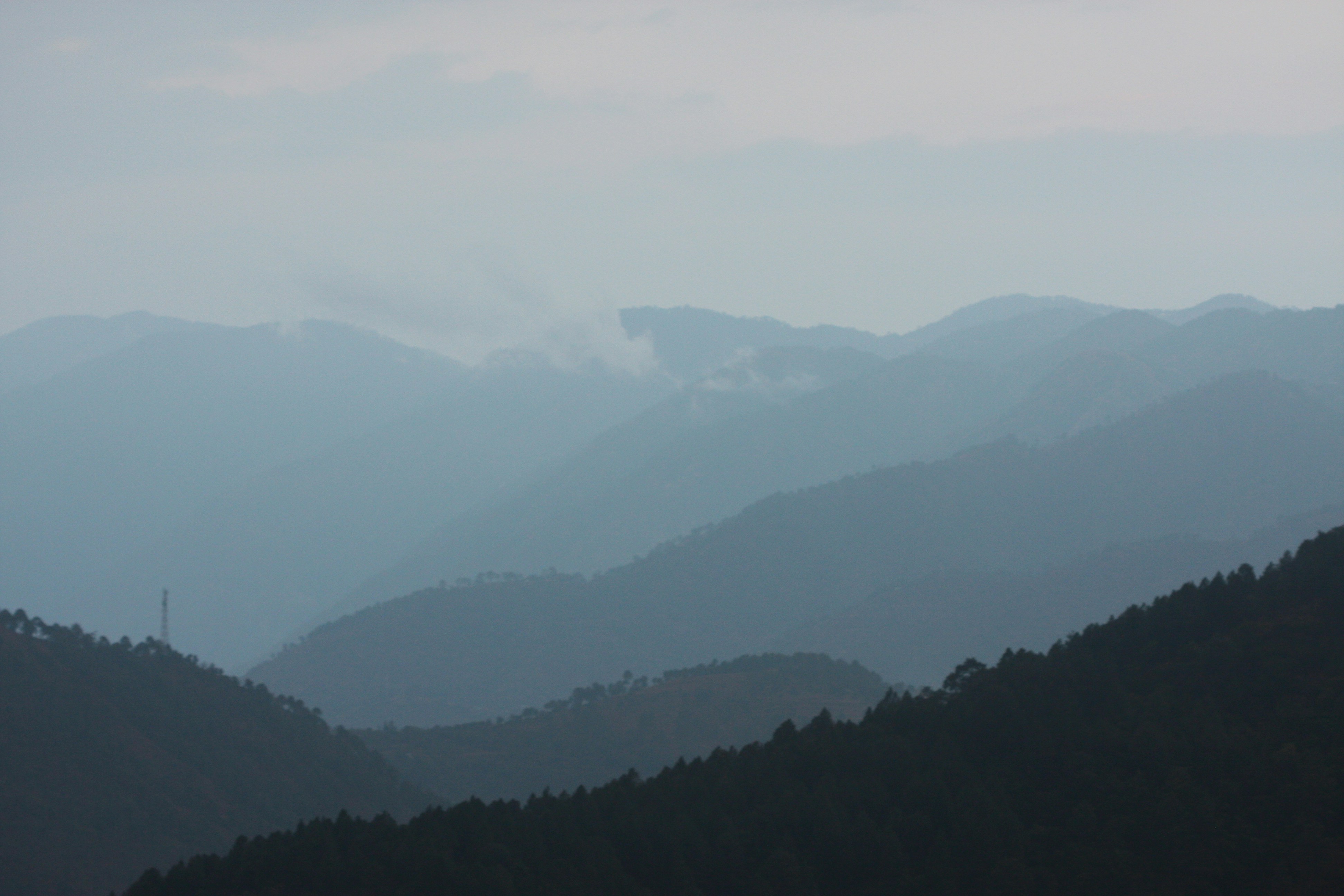 Photo by suyashbatra