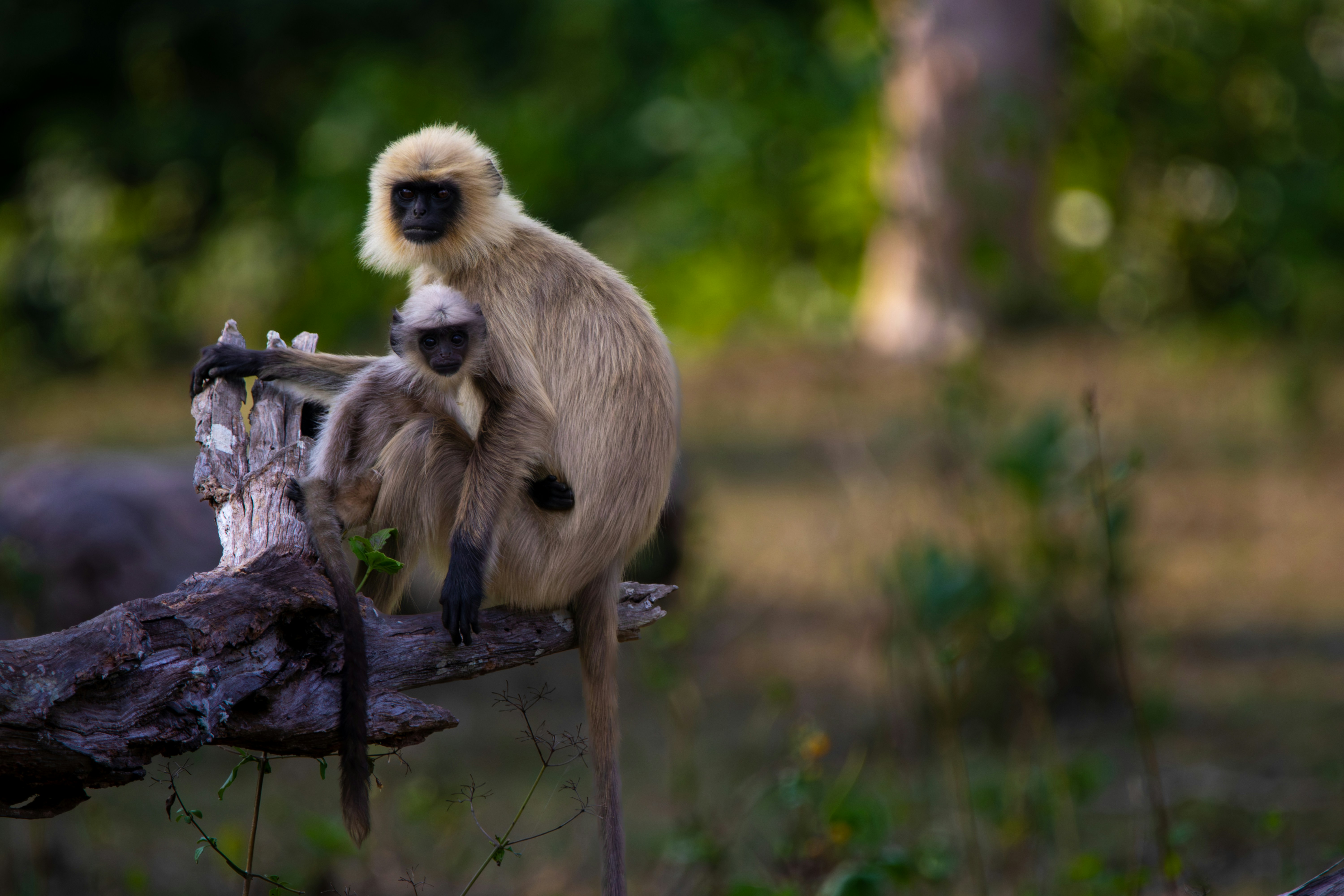 Photo by saiteja_varma