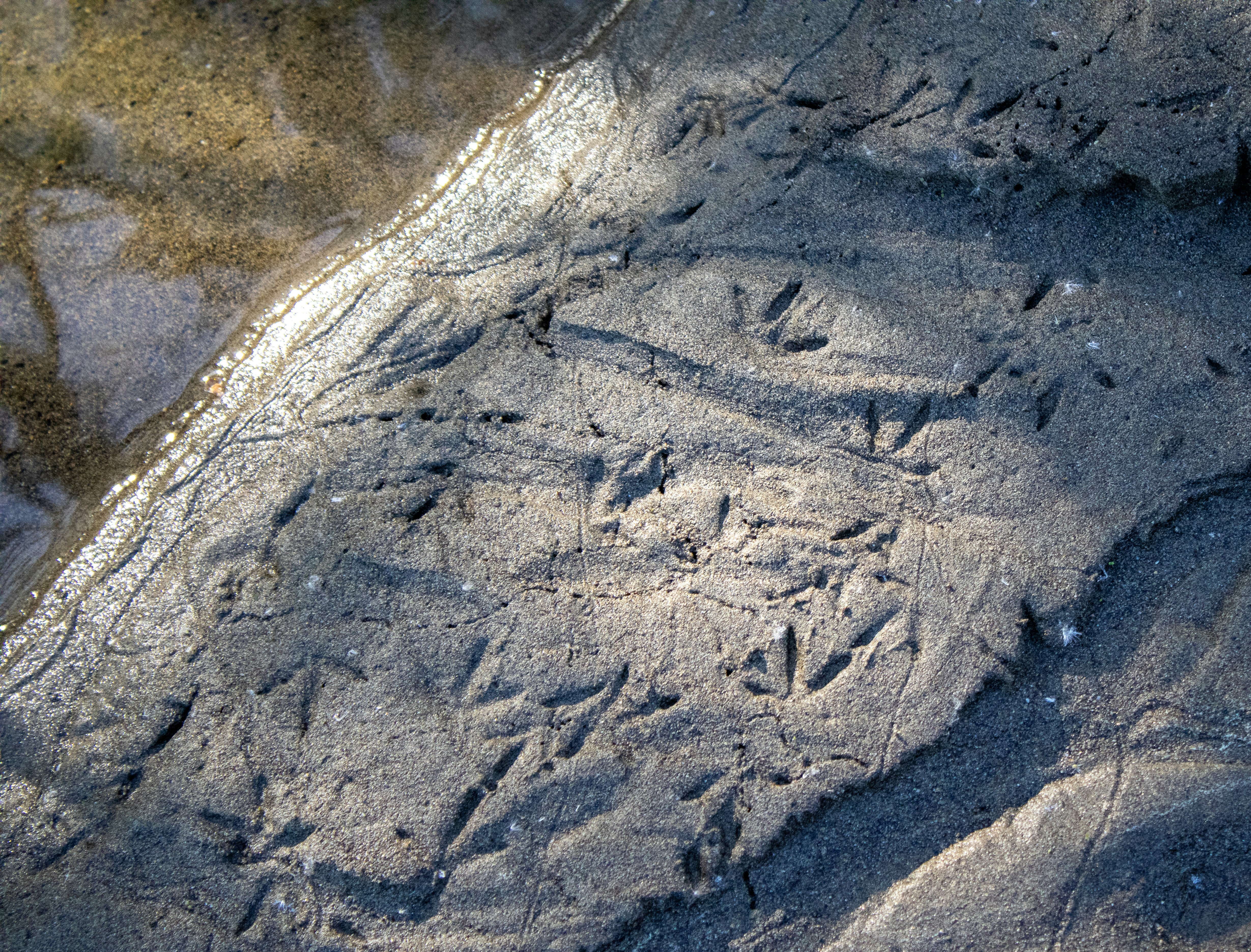 Sanilac Petroglyphs State Park