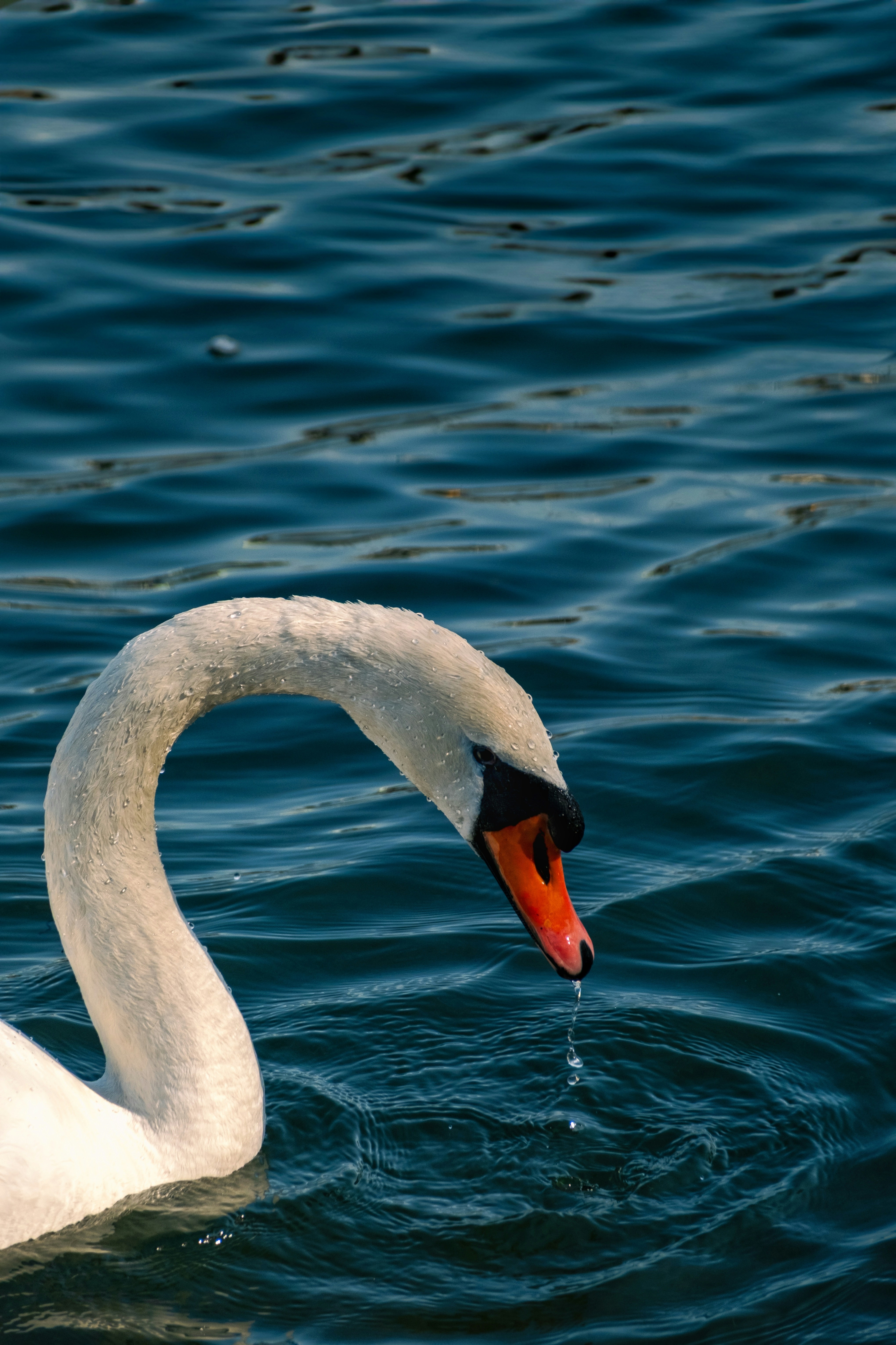 Photo by kevinmueller