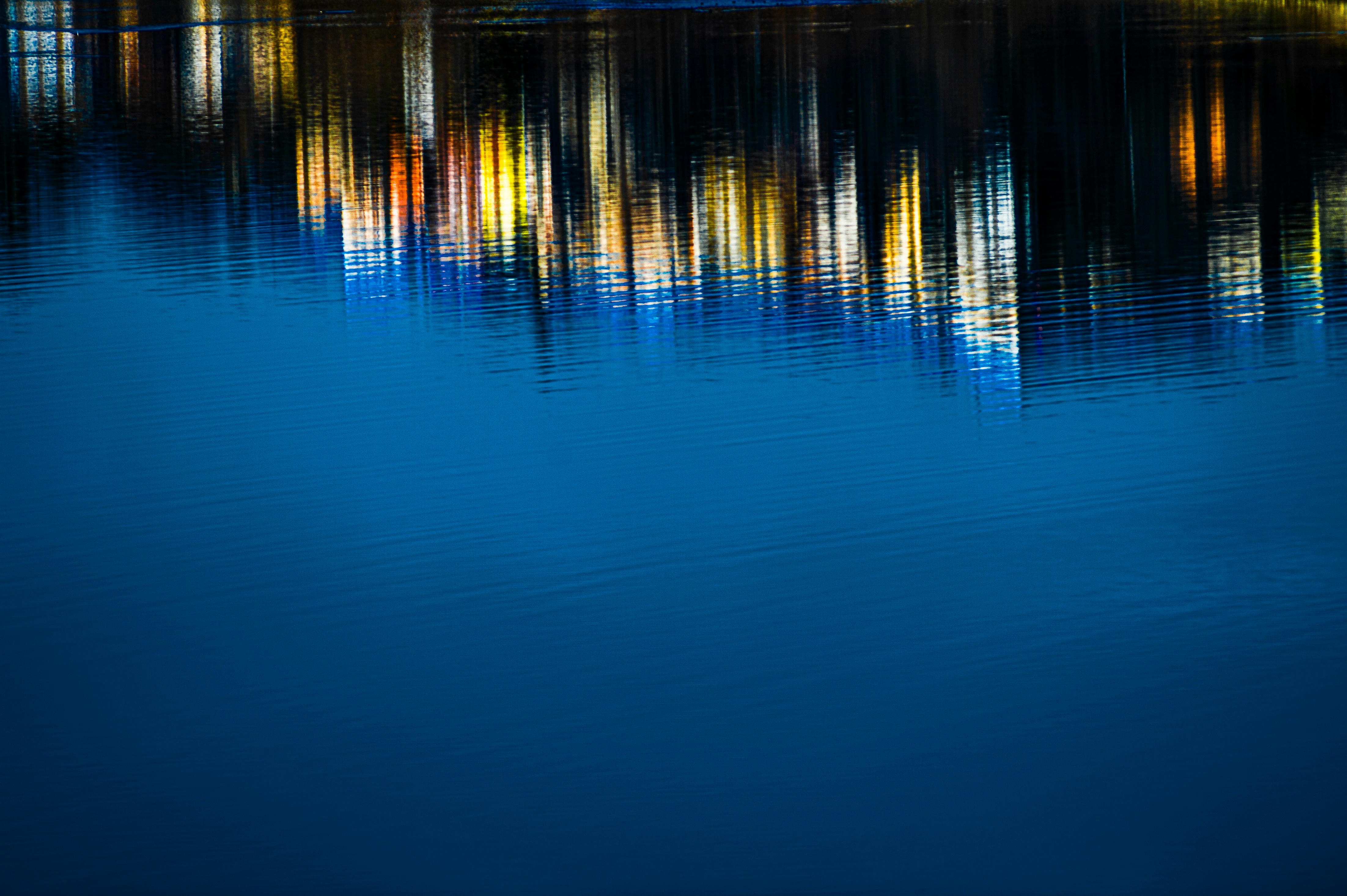 Photo by lucaakalu
