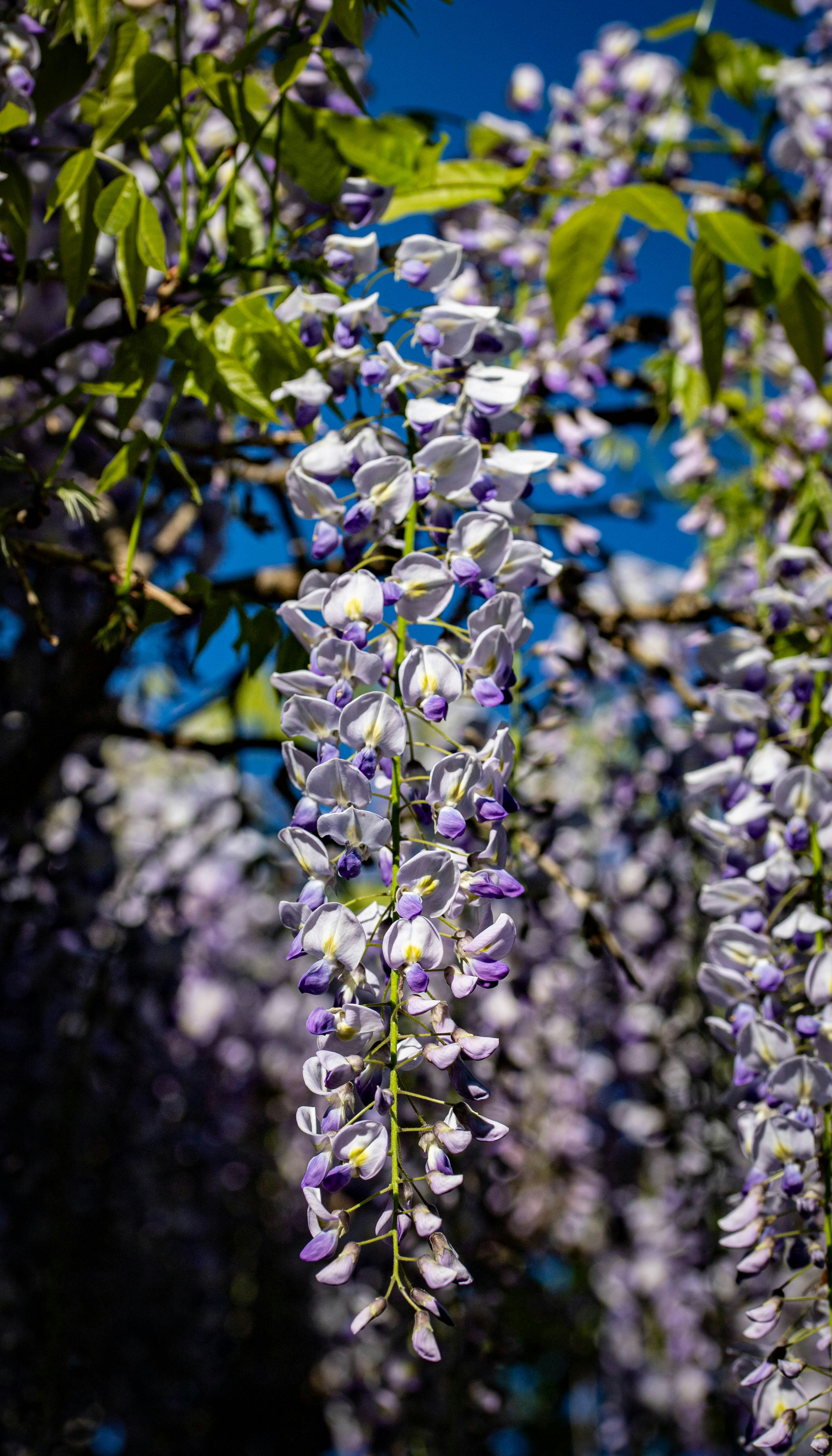 Photo by hdbernd