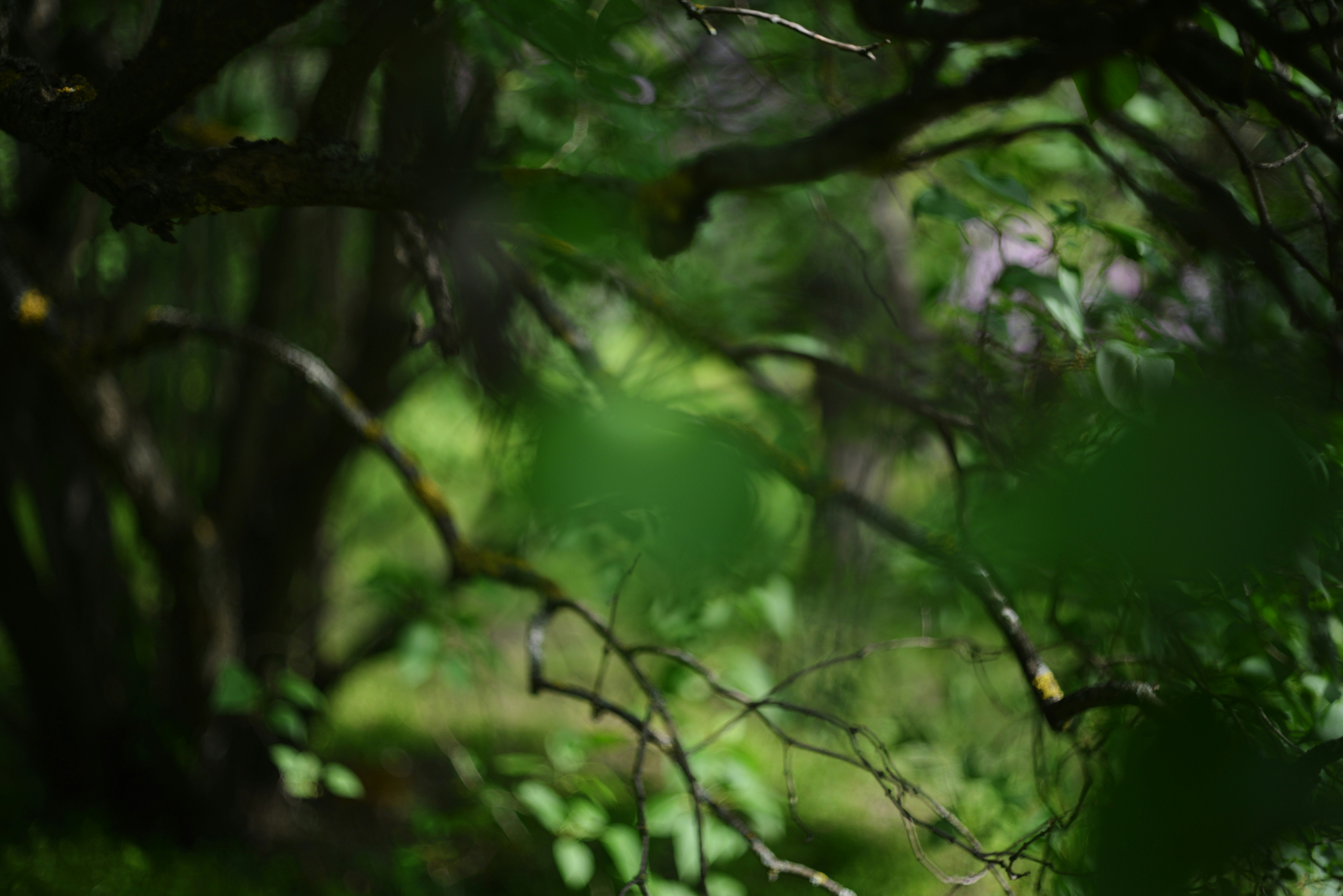 Photo by cherstve_pechivo