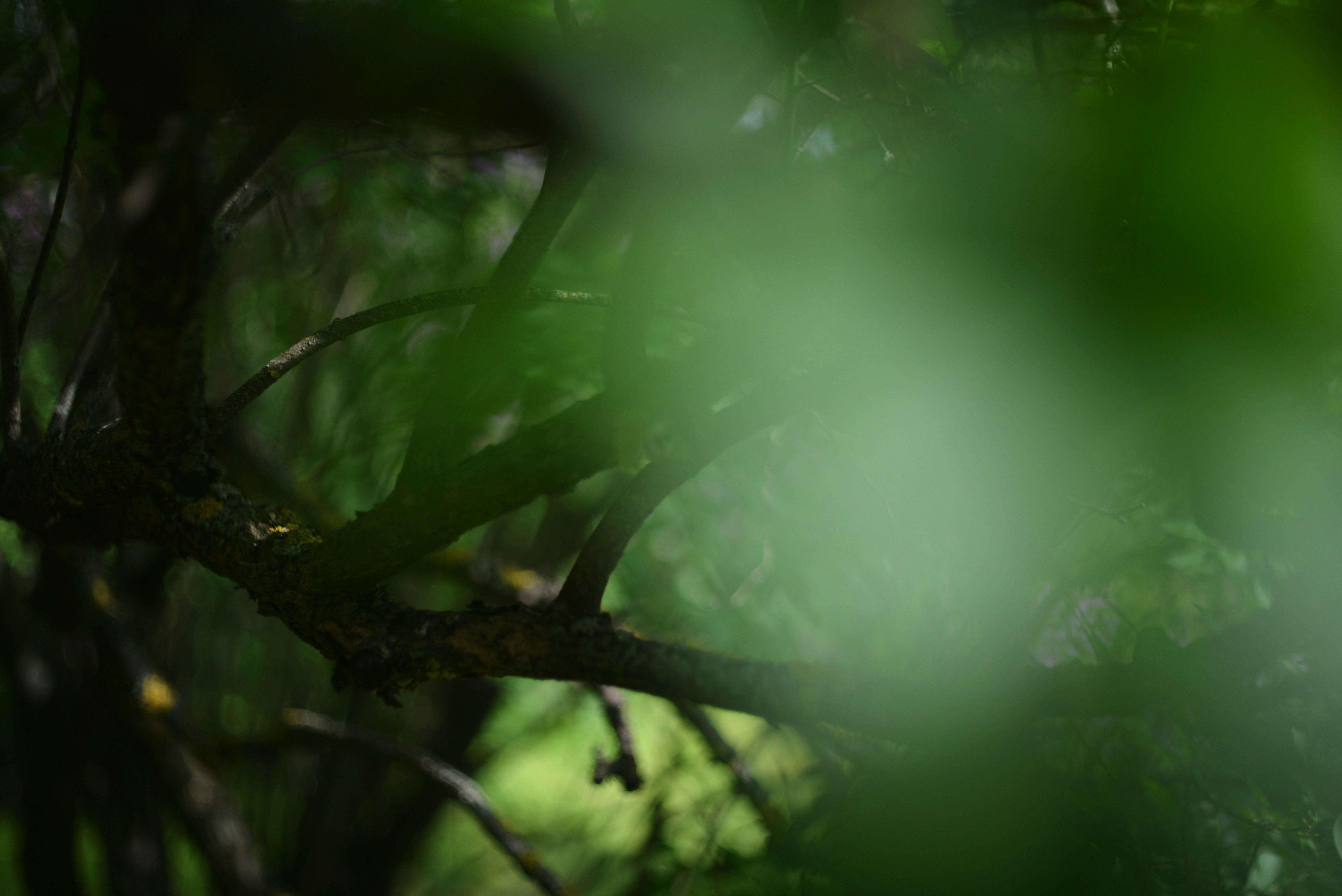 Photo by cherstve_pechivo