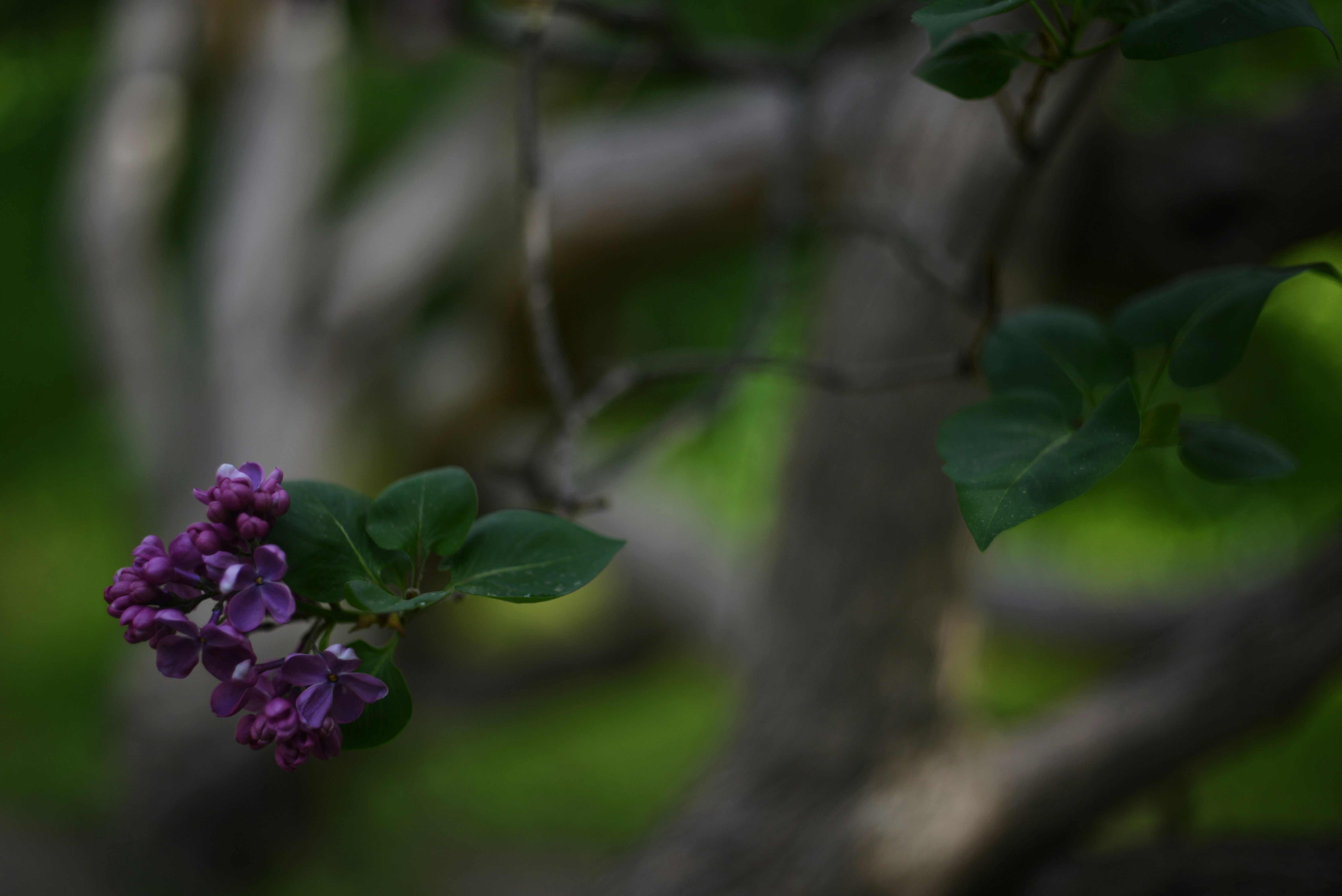 Photo by cherstve_pechivo