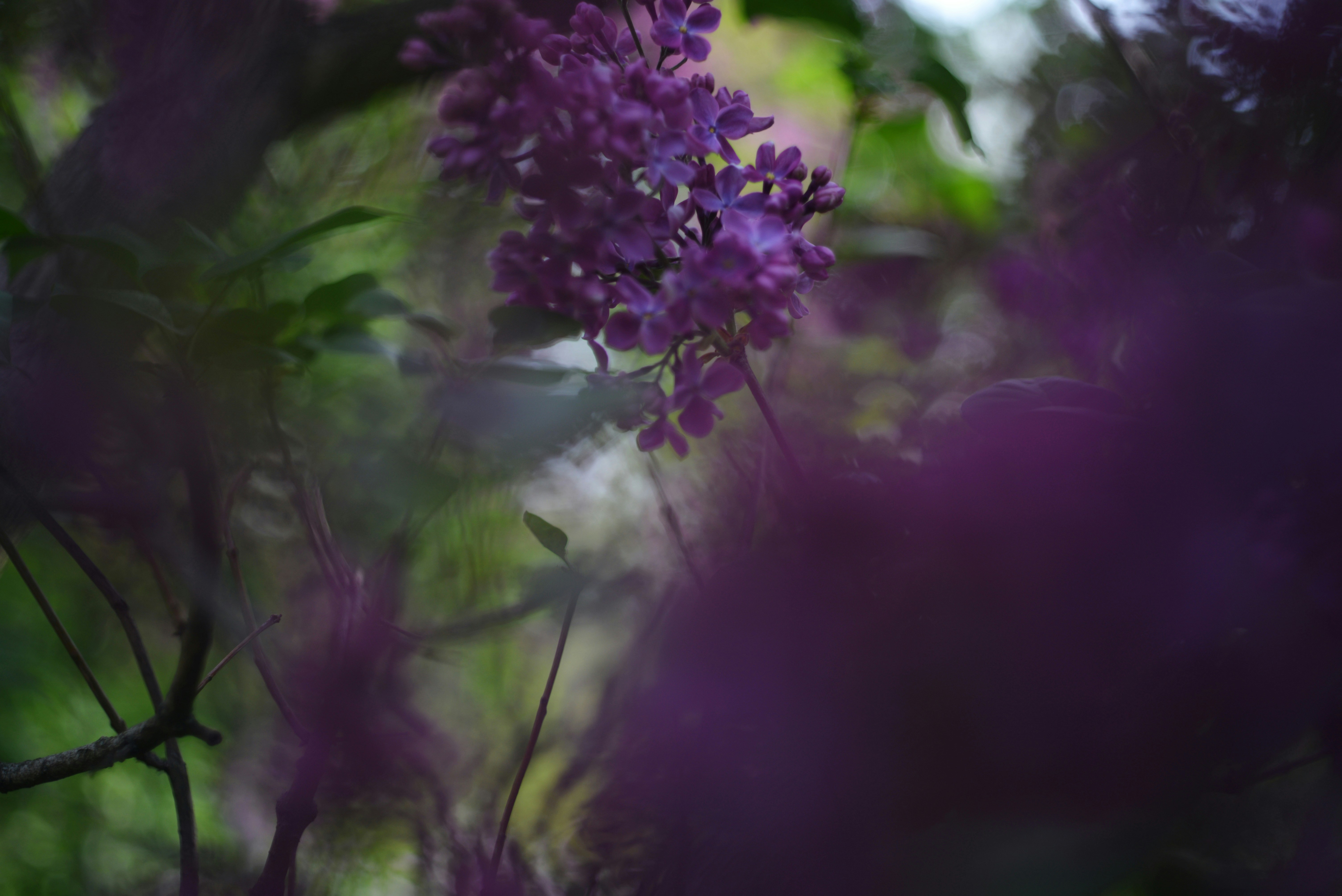 Photo by cherstve_pechivo