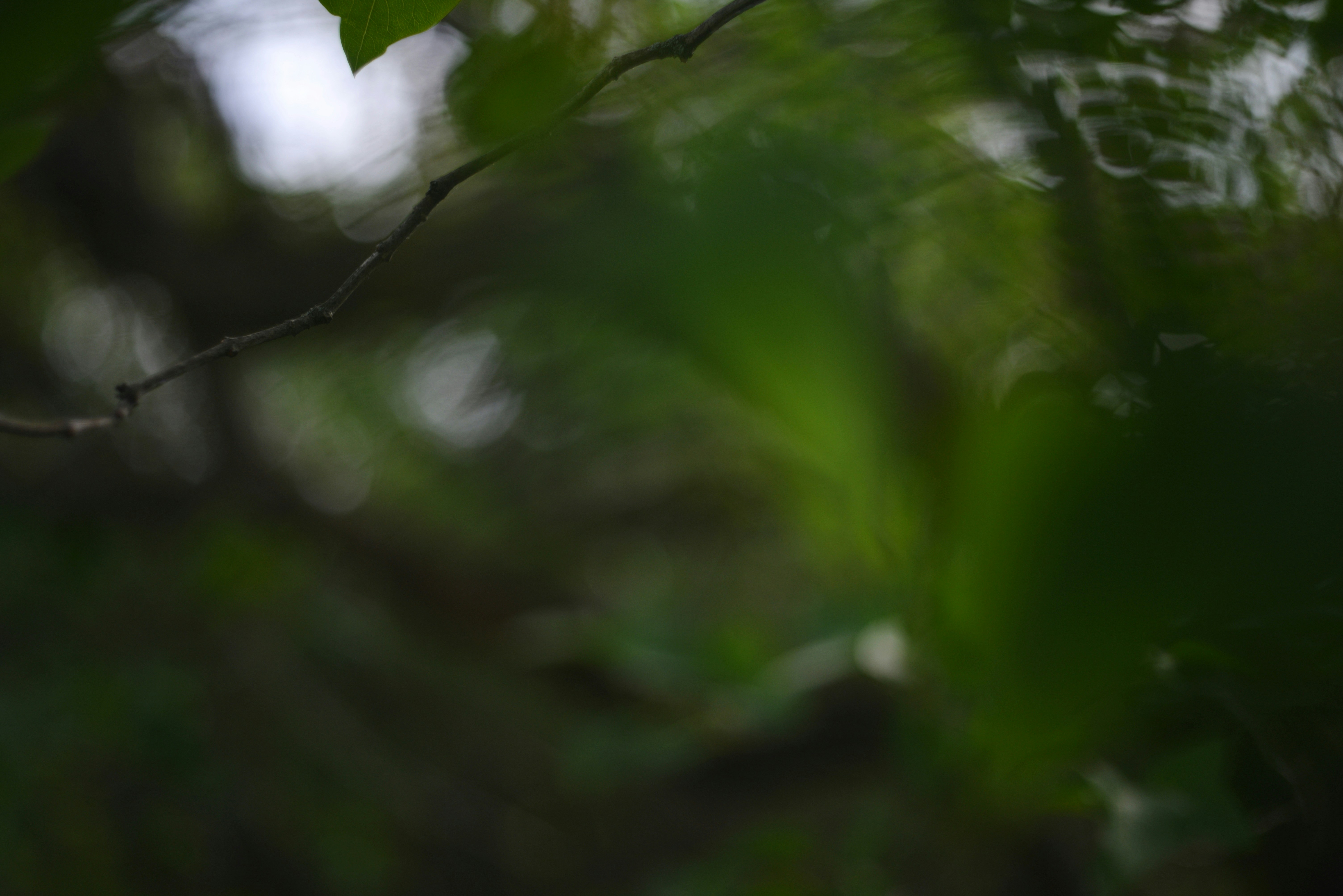 Photo by cherstve_pechivo