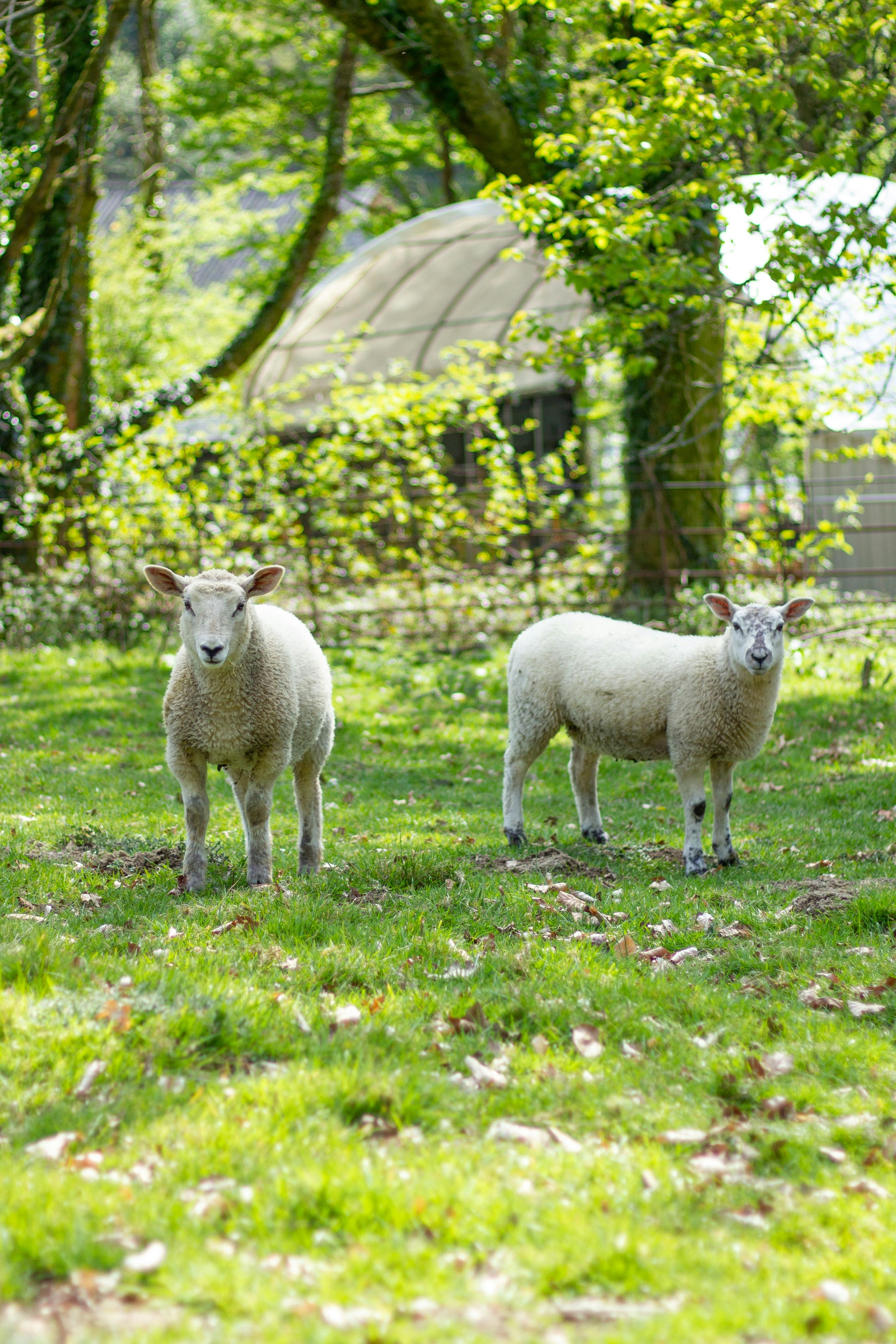 Photo by isaacwithers