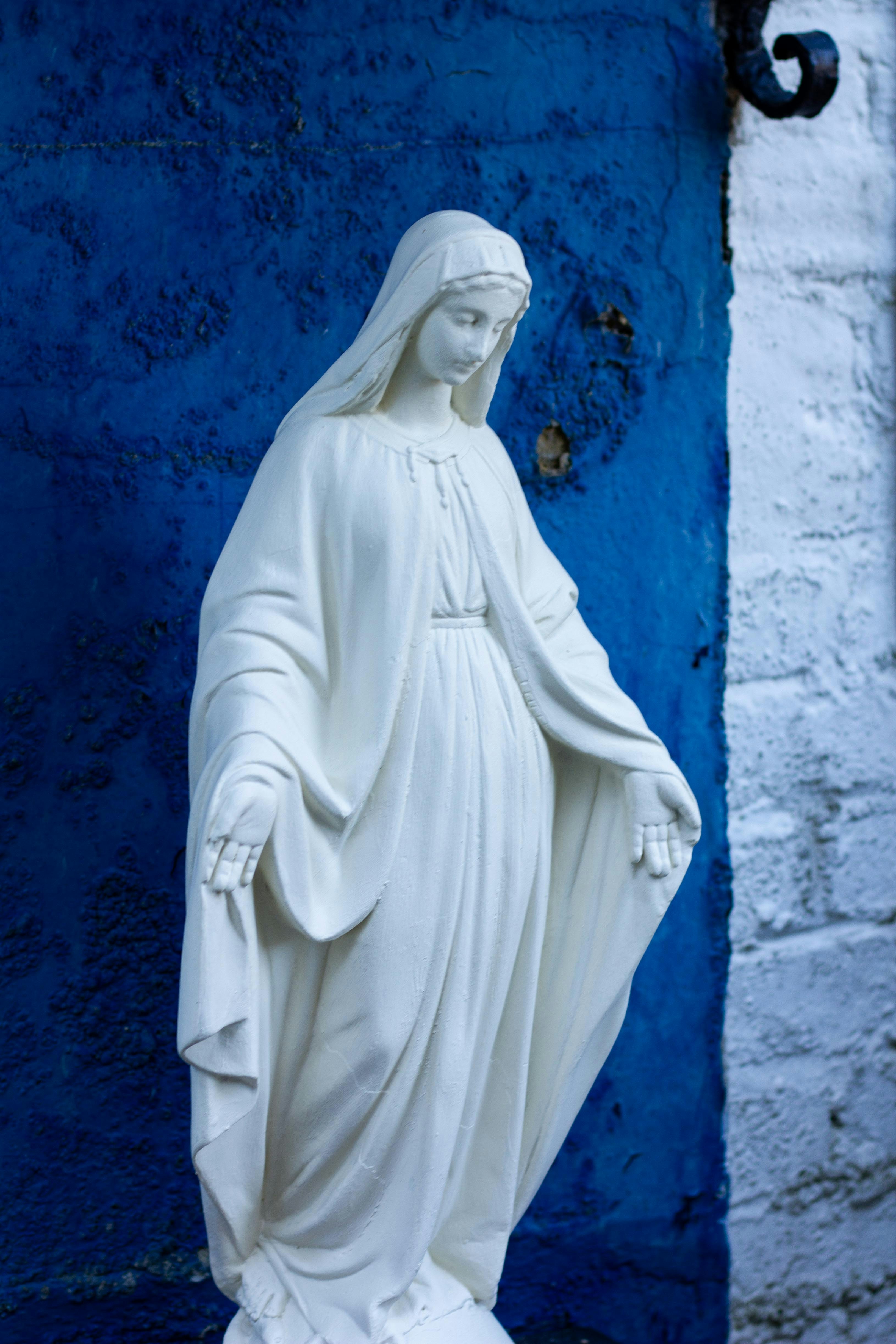 Latest Message from Our Lady in Medjugorje (November 25th 2025)