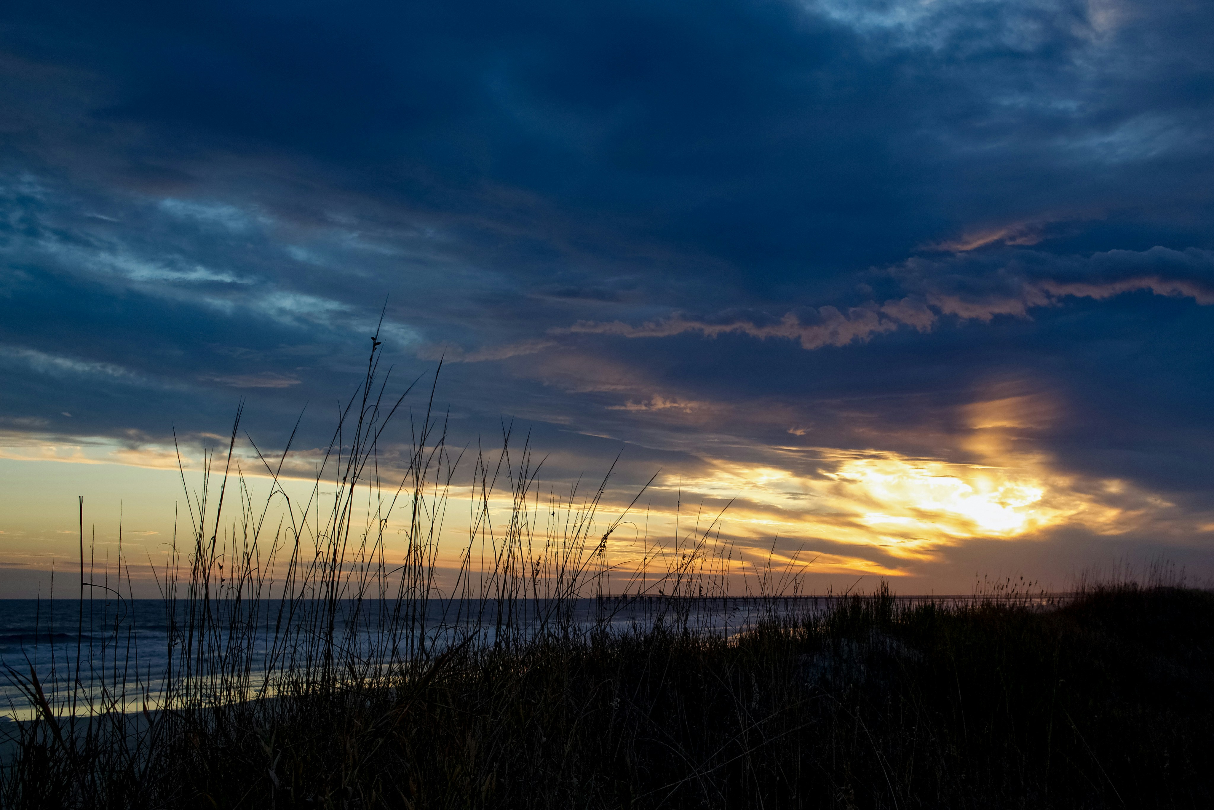 Photo by jenconantphoto