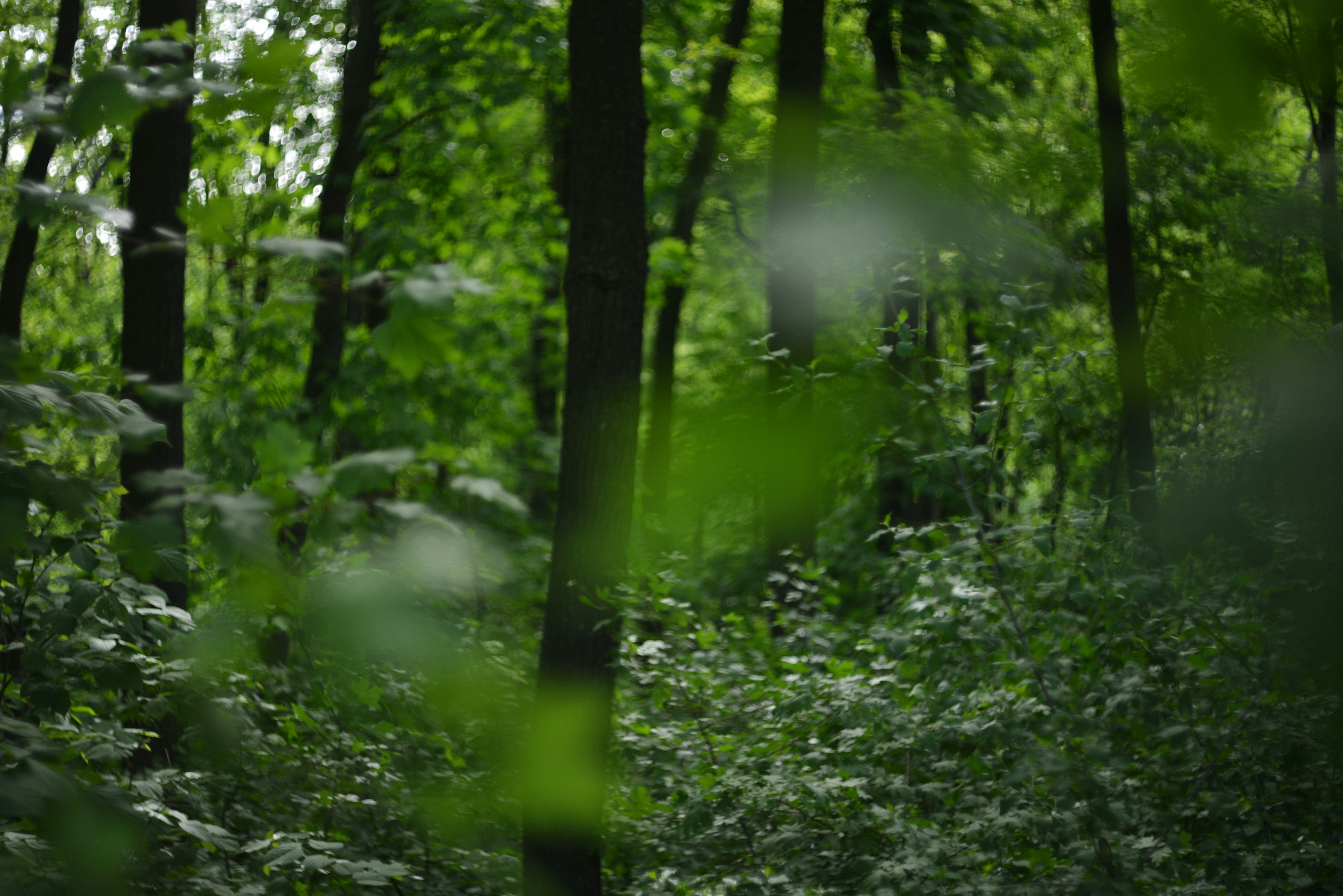 Photo by cherstve_pechivo