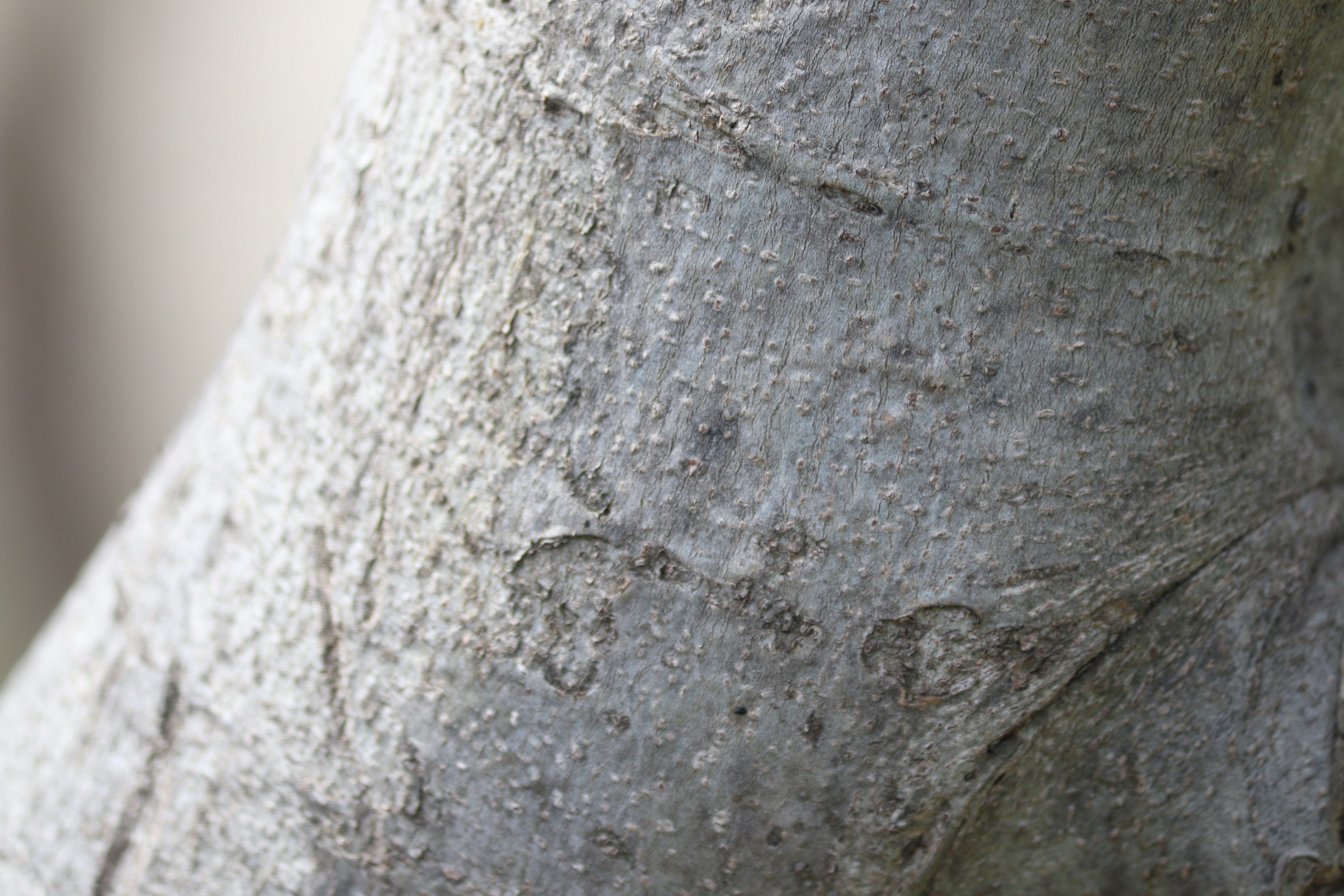 Photo by fotografialuivlad