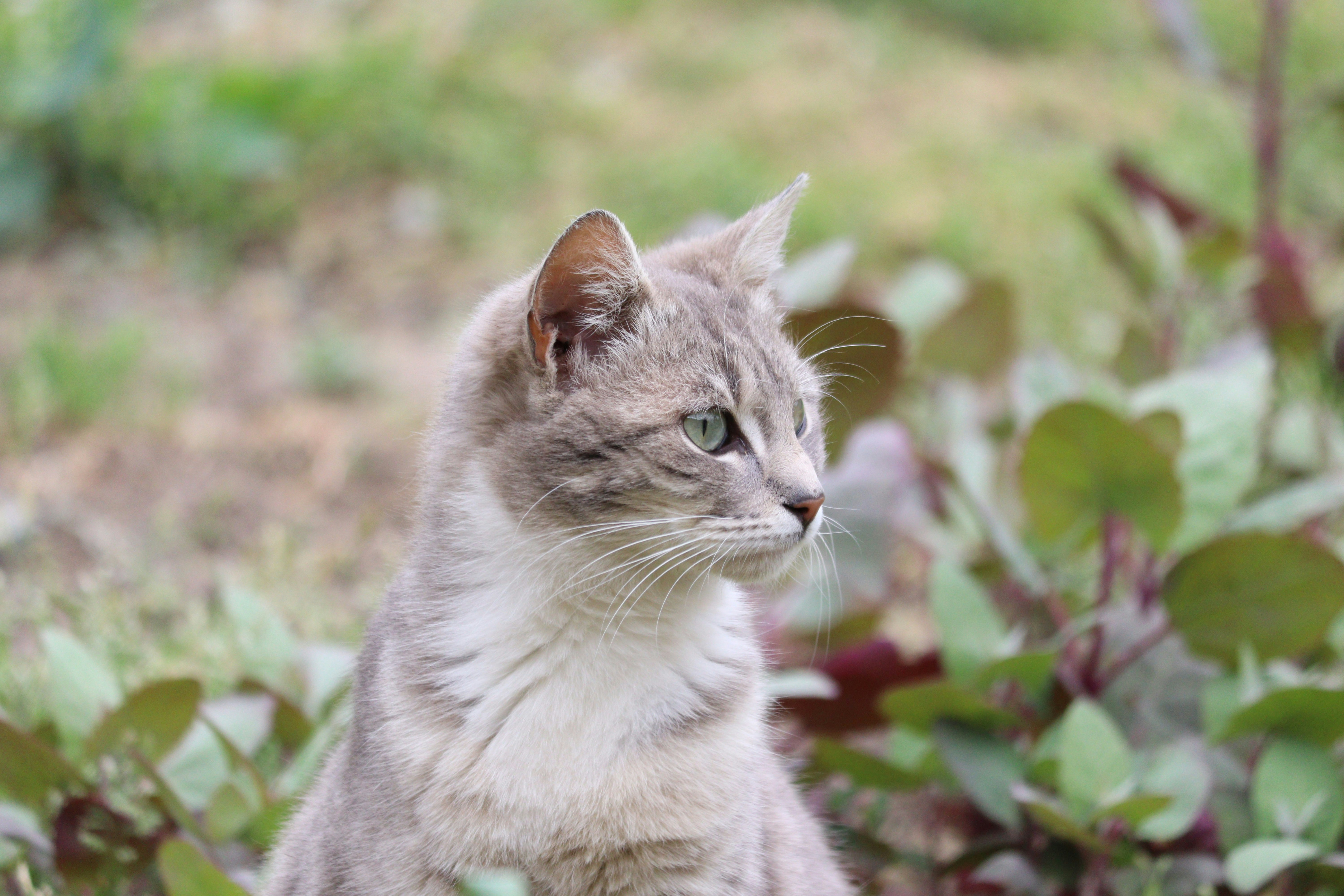 Photo by fotografialuivlad