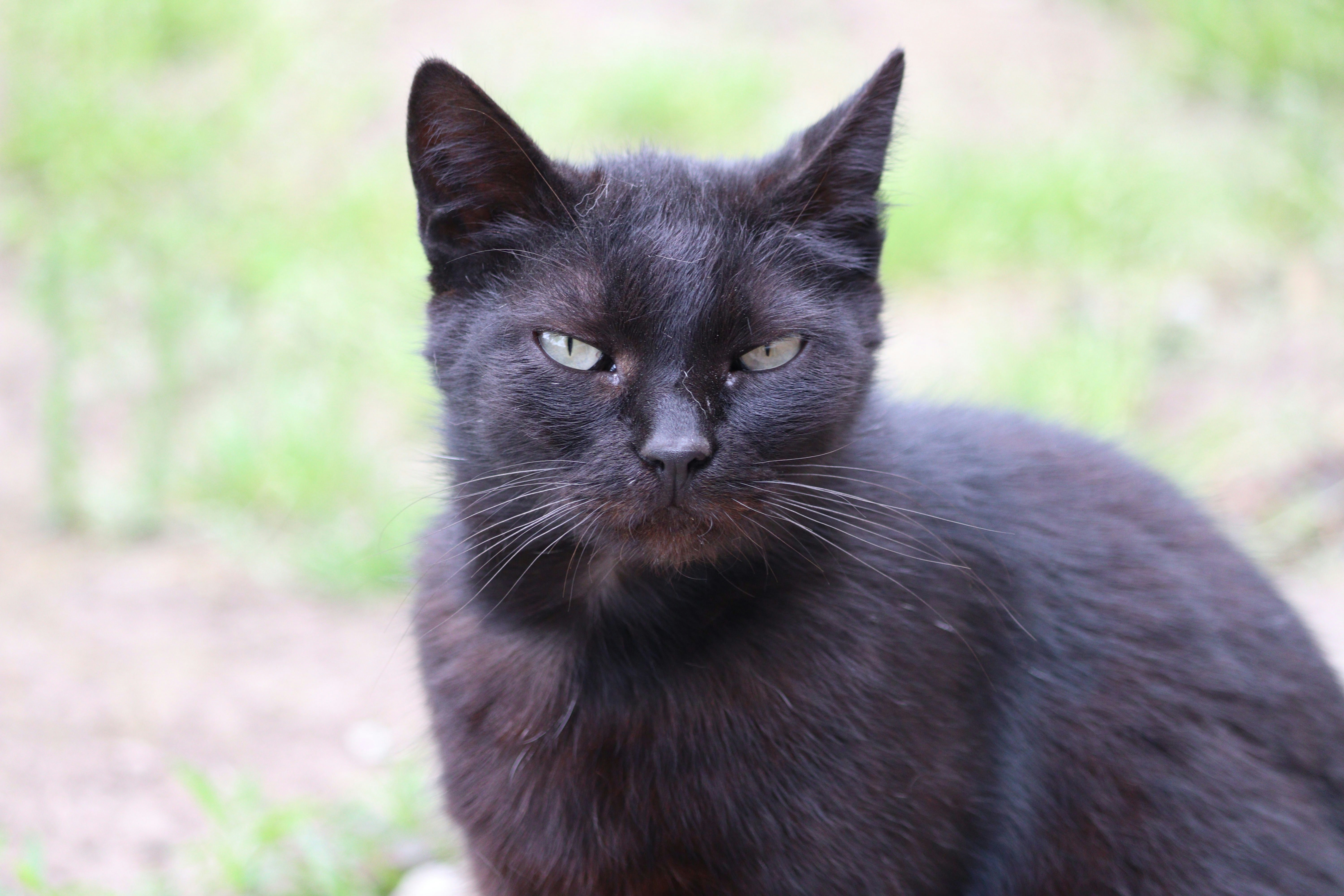 Photo by fotografialuivlad