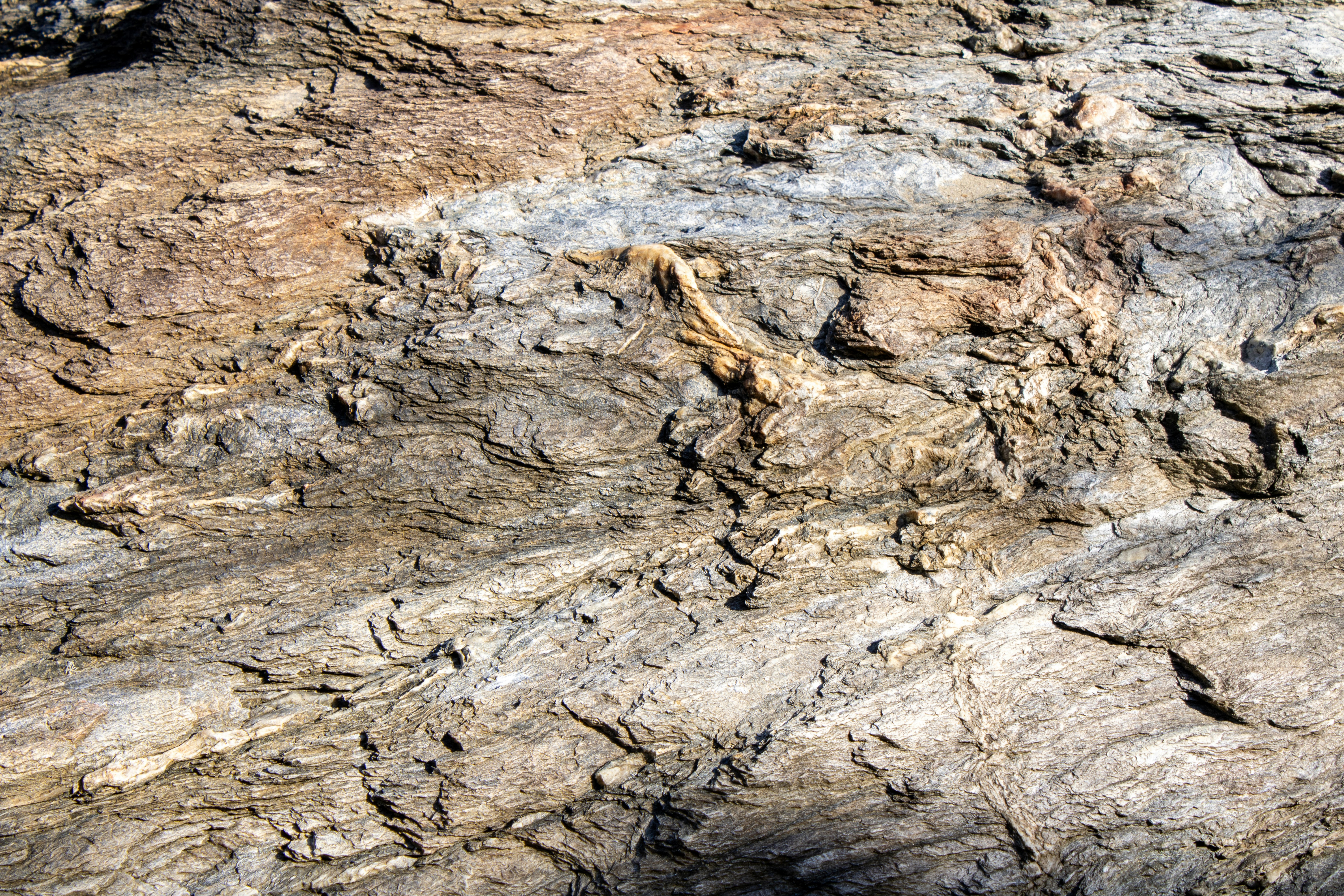 Photo by lerossiphotos