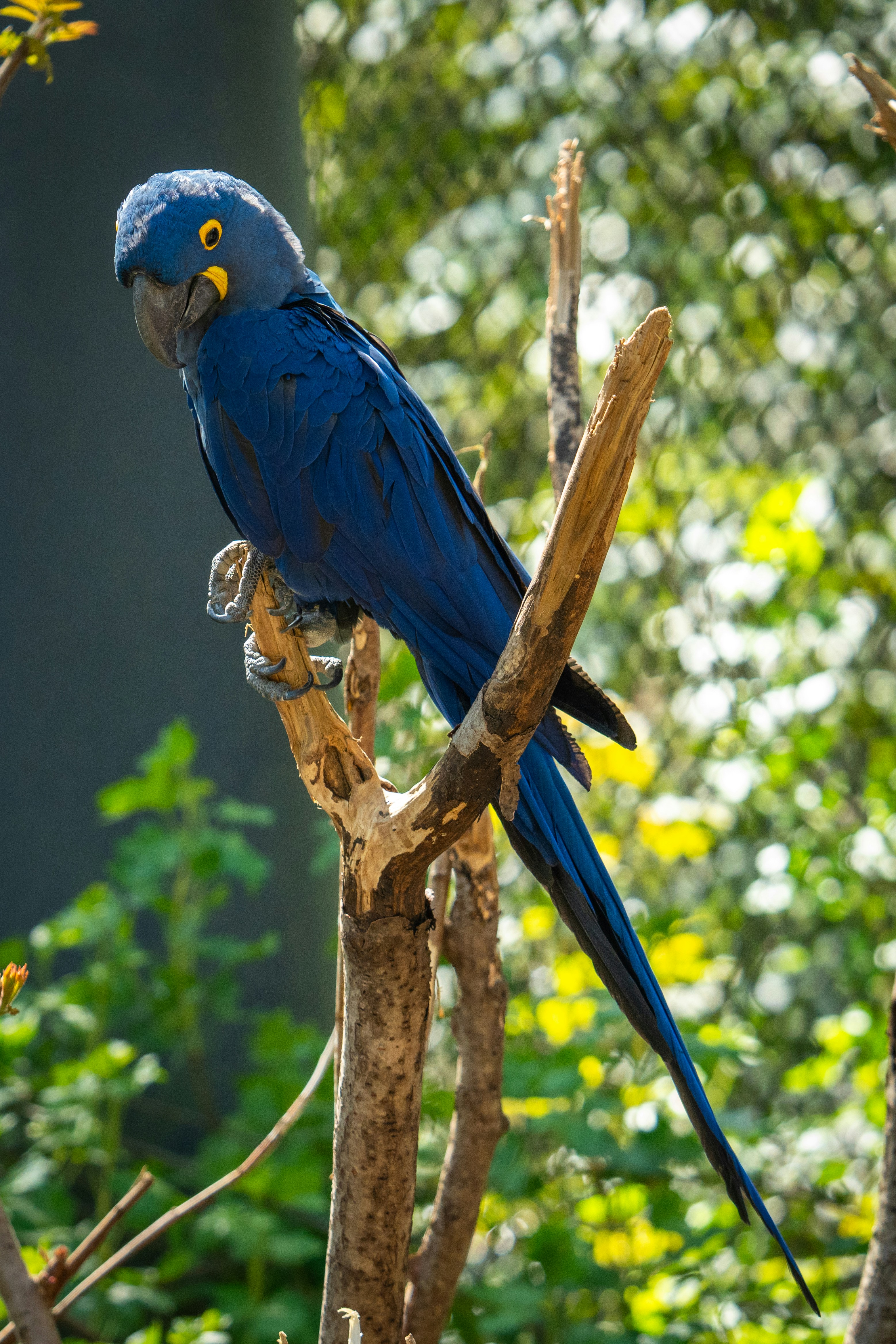 Photo by robertschwarz