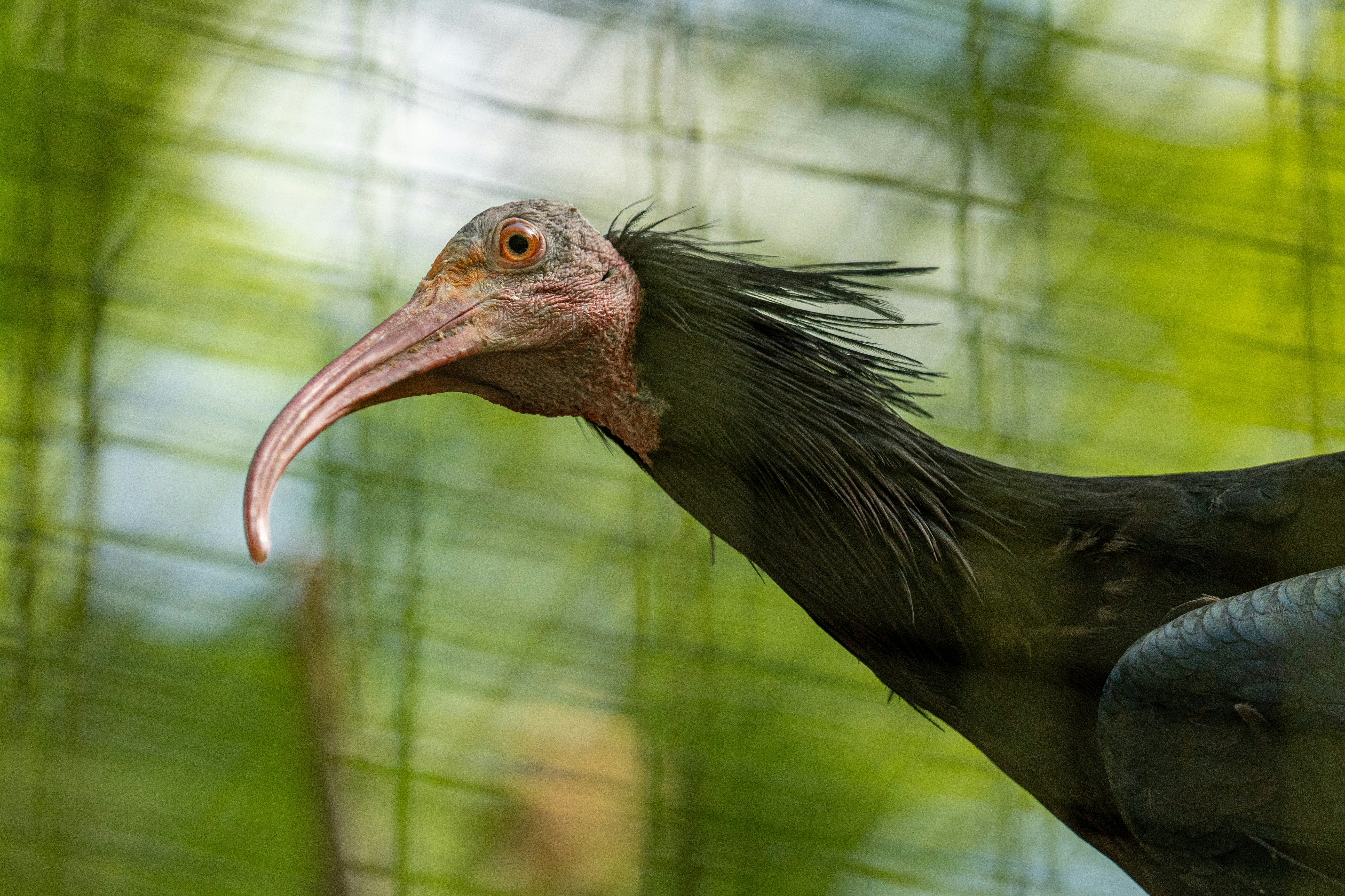 Photo by robertschwarz