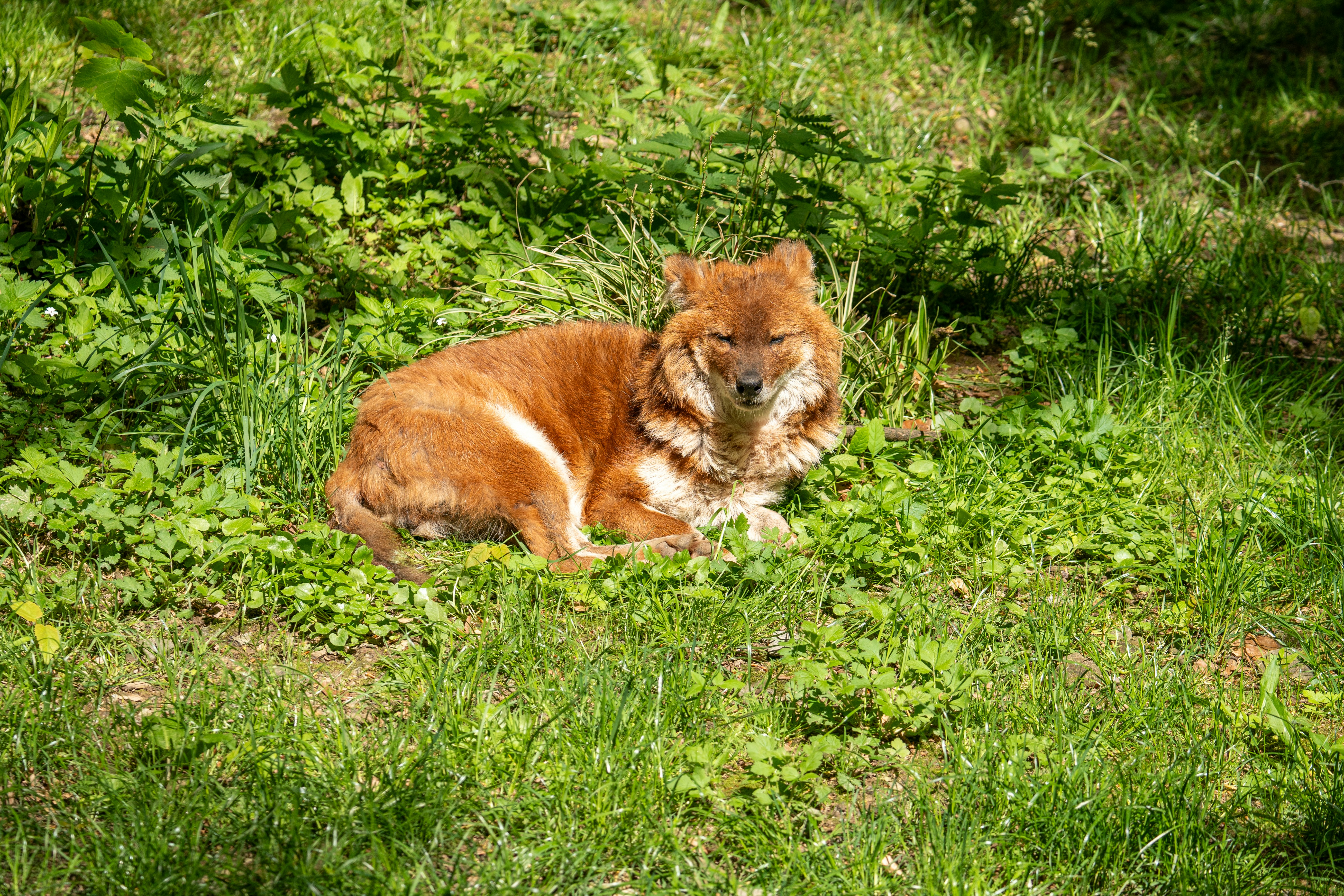 Photo by robertschwarz