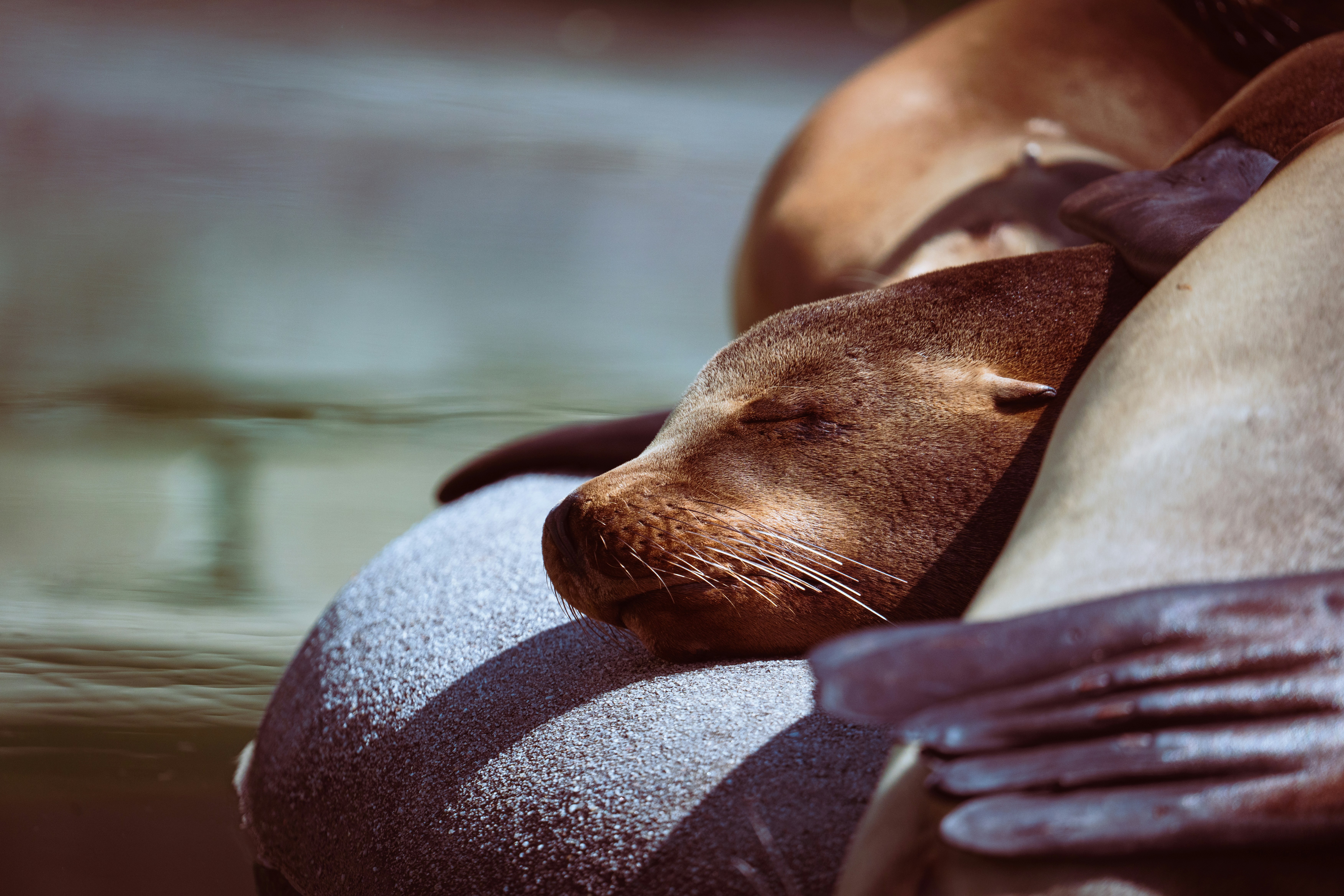 Photo by robertschwarz